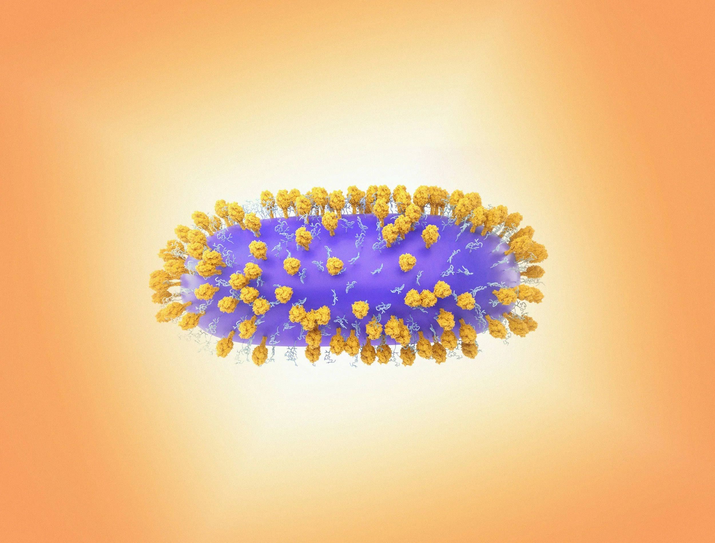 Gut Health = Immune Health