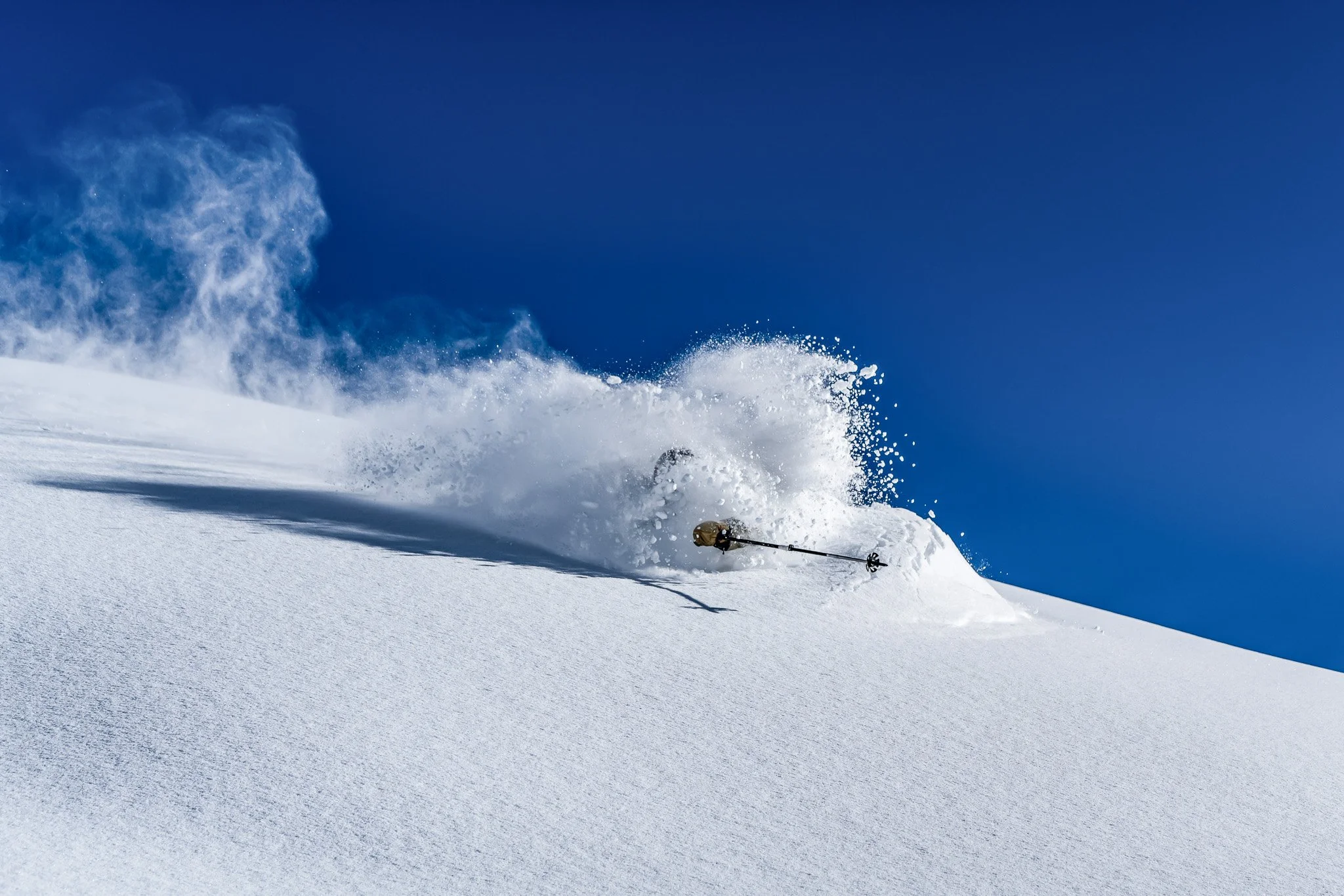 Powder Science Program - Print