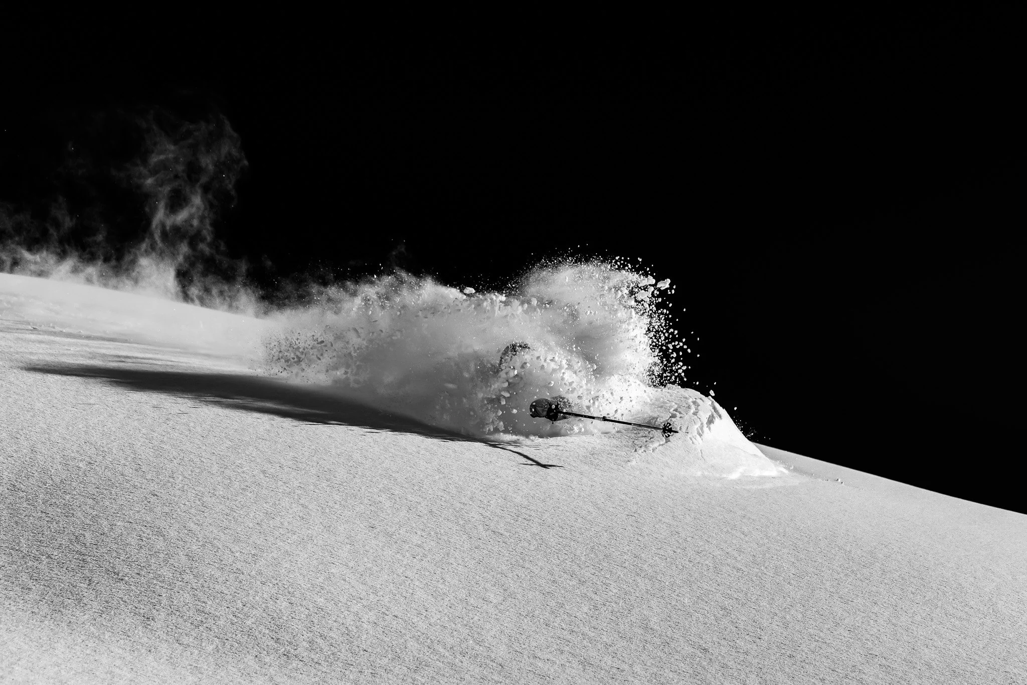 Powder Science Program - Print