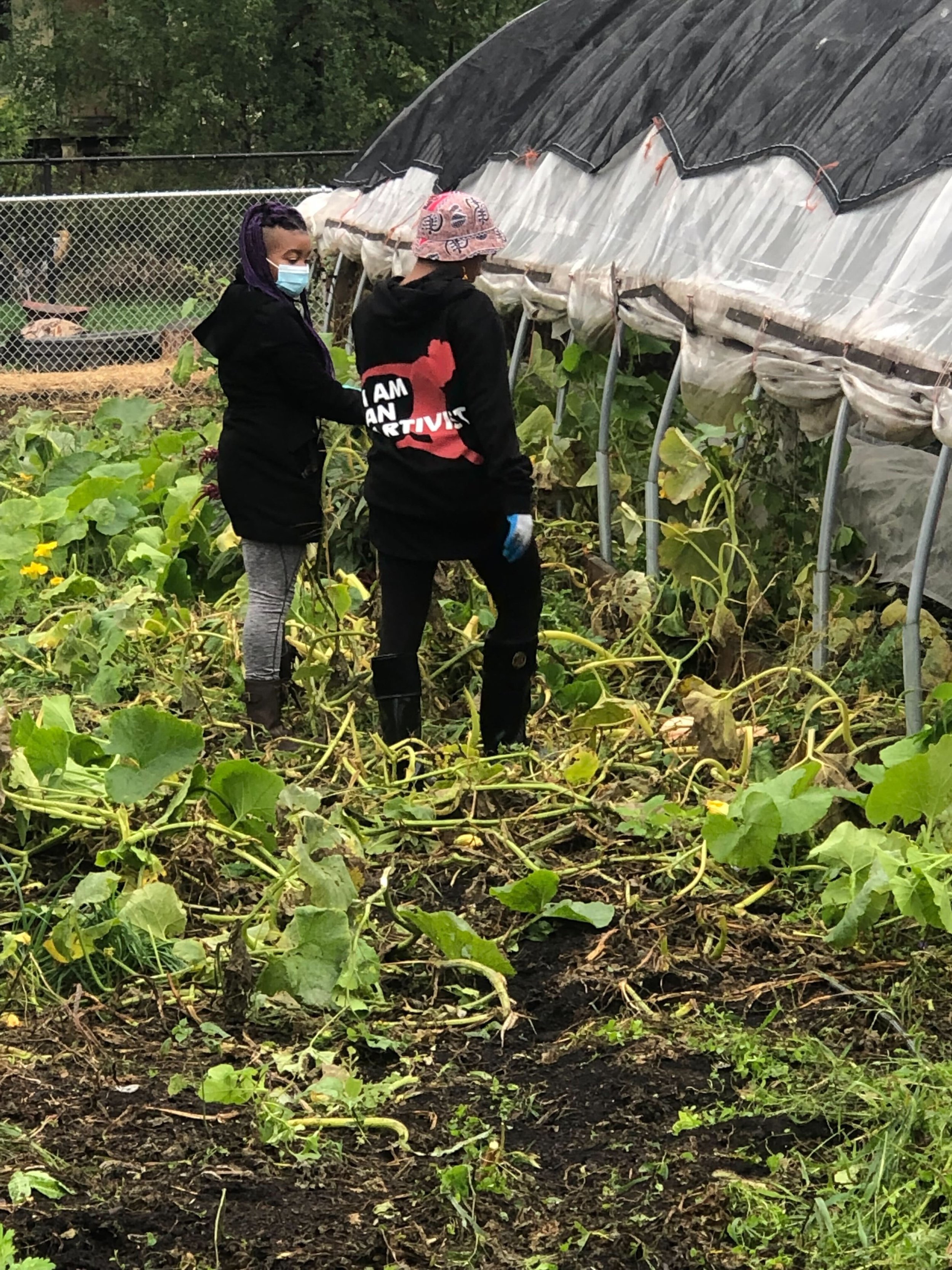 Two people working in a greenhouse garden, surrounded by green plants and vines, wearing casual clothing and face masks.