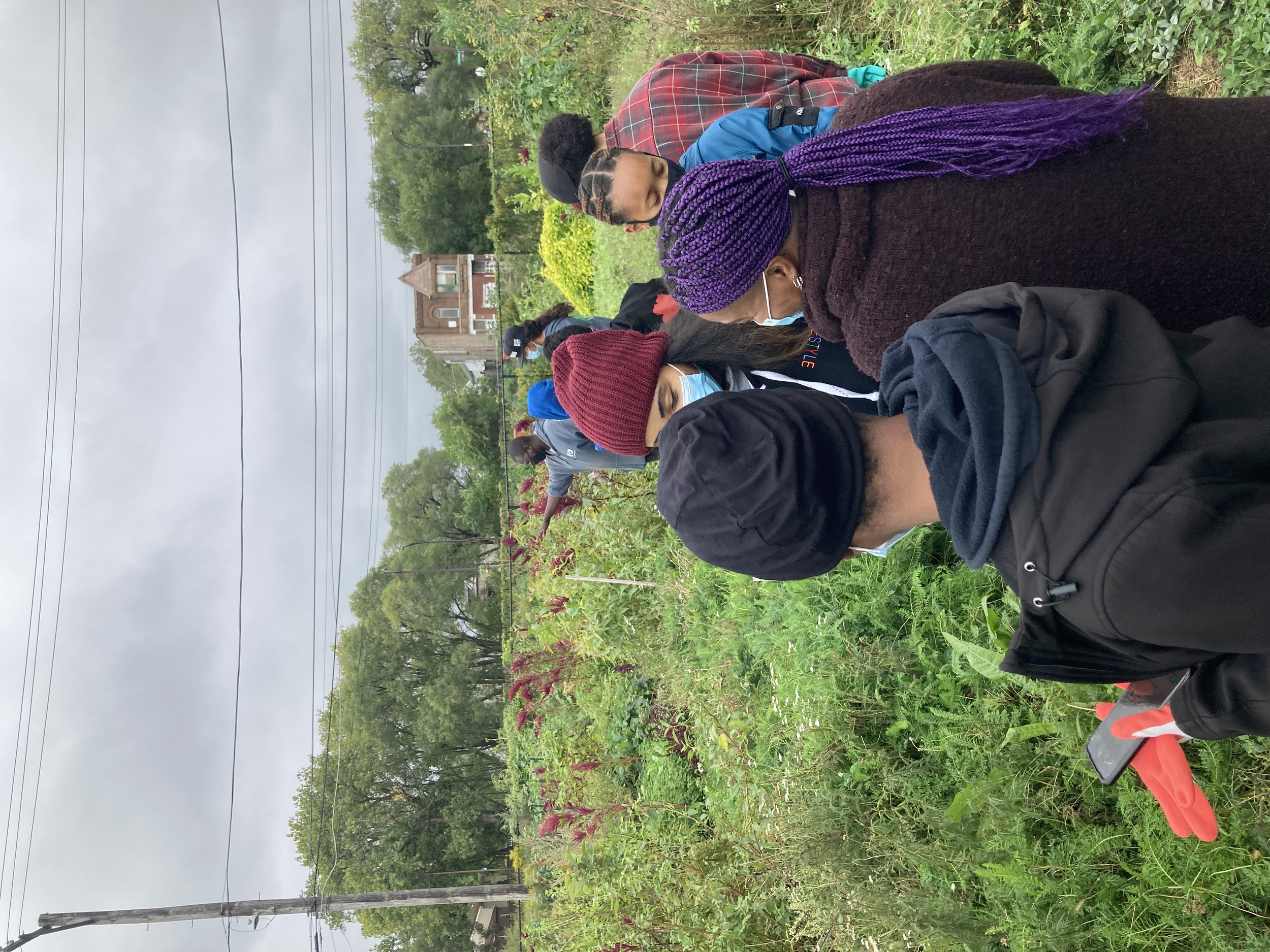 A group of people gathered in a green field under an overcast sky, likely involved in an outdoor activity or community project. Some are wearing face masks. Trees and a building are visible in the background.