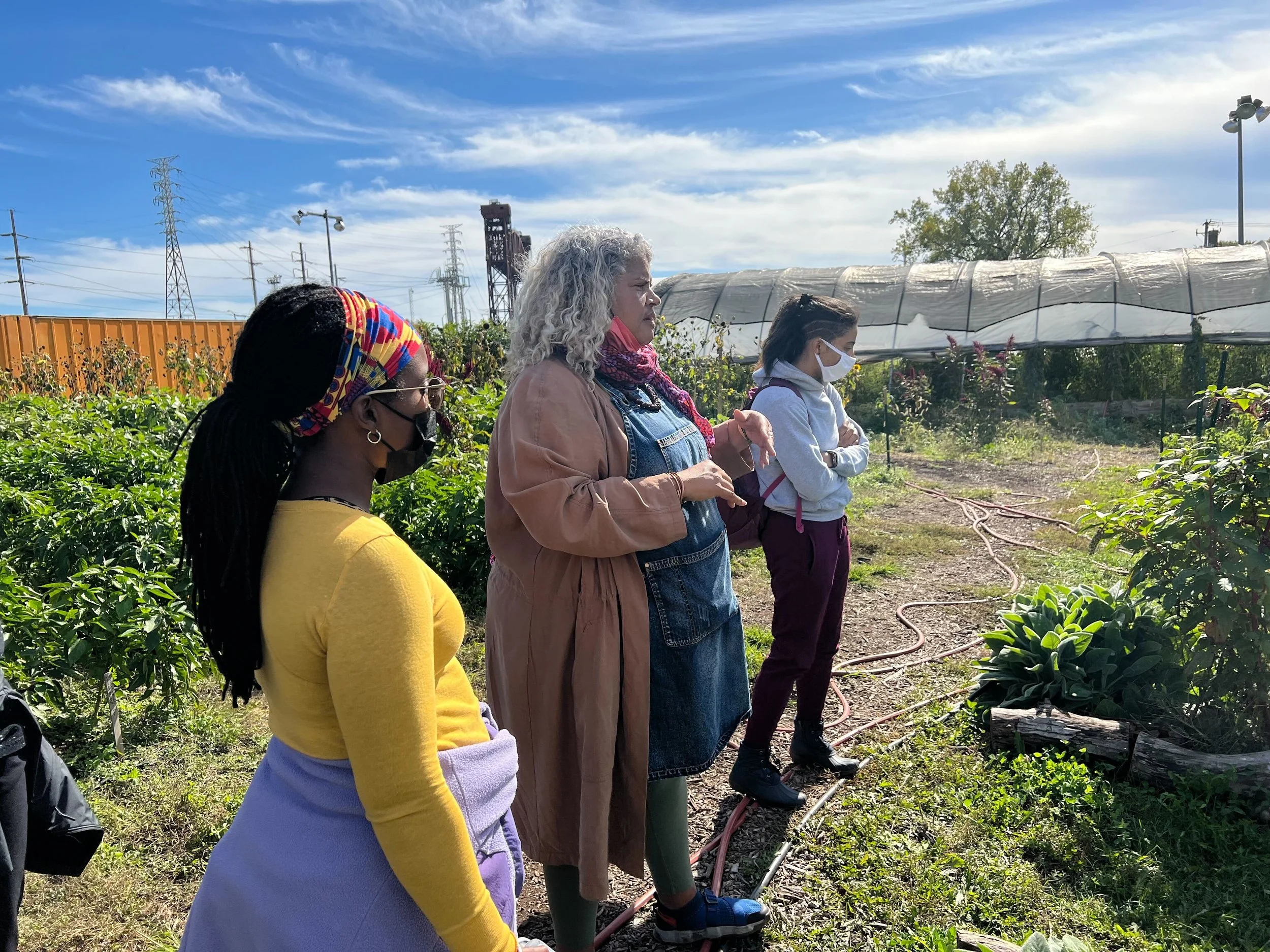 Three people standing in a garden setting, observing plants. They are wearing masks, with greenery and a greenhouse tunnel in the background under a blue sky.