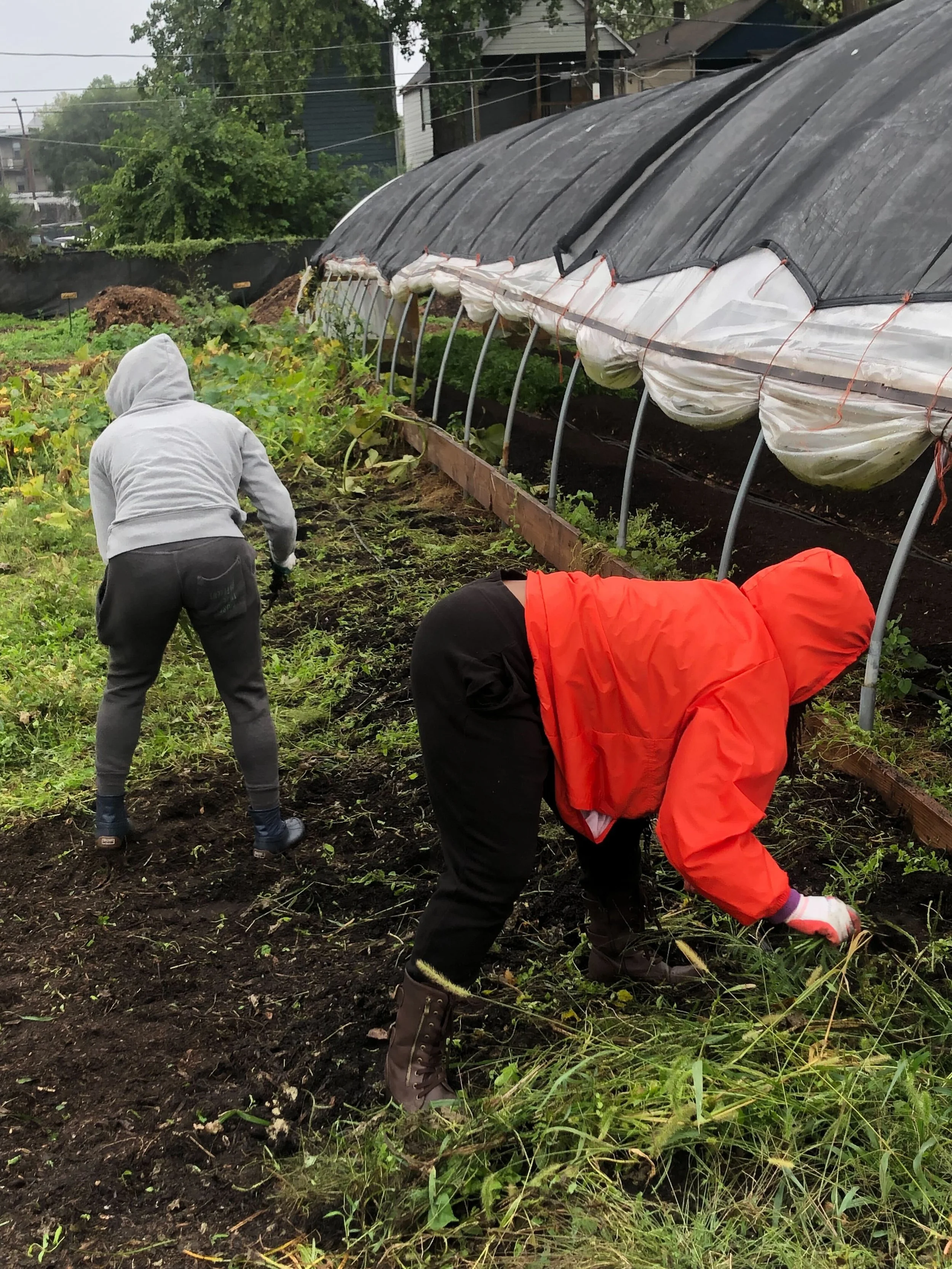 Two people gardening near a greenhouse, wearing hooded jackets, bending over to tend plants in a garden with lush greenery around.