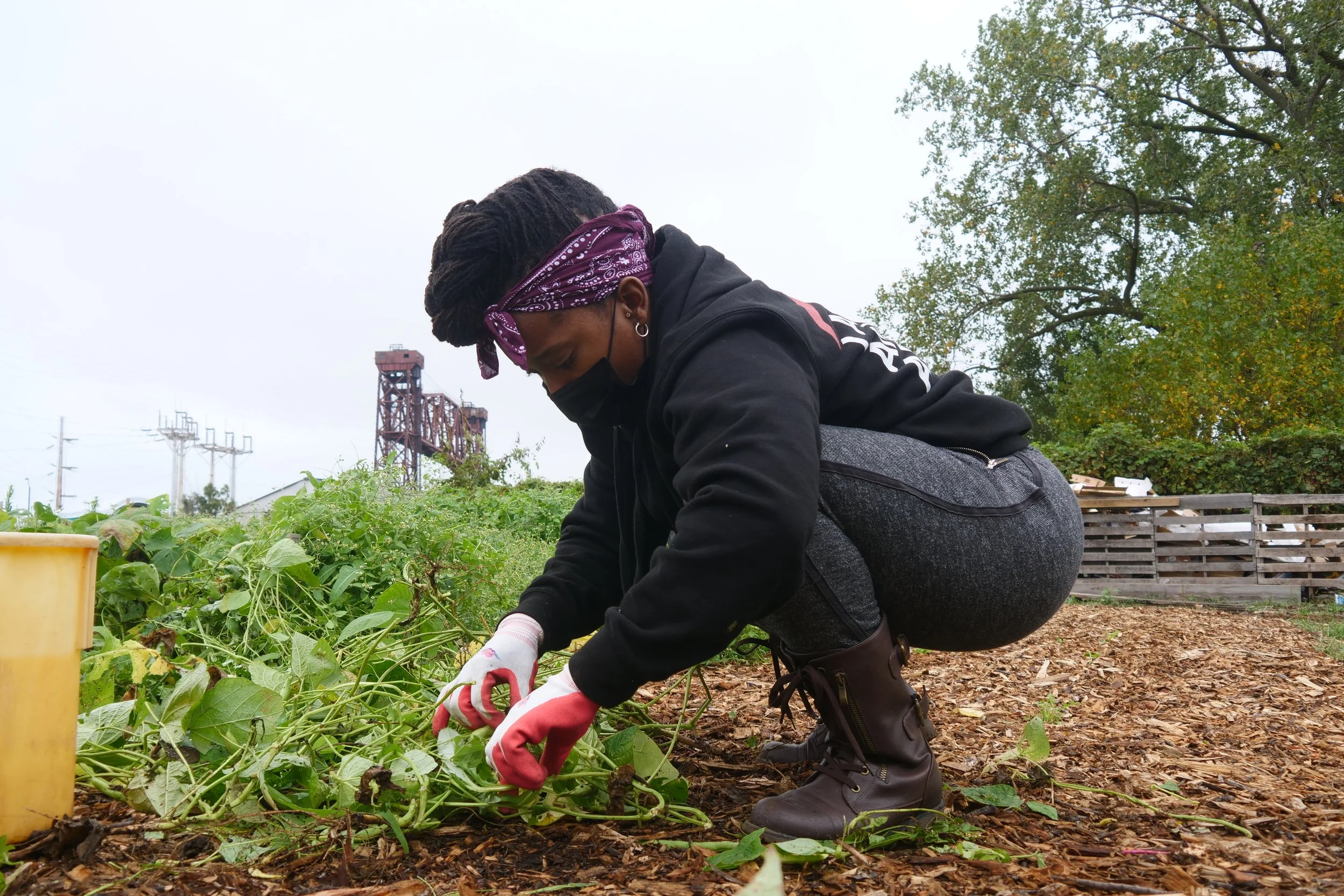 Person wearing a bandana and mask gardening outdoors, kneeling to tend to plants, with trees and a structure in the background.