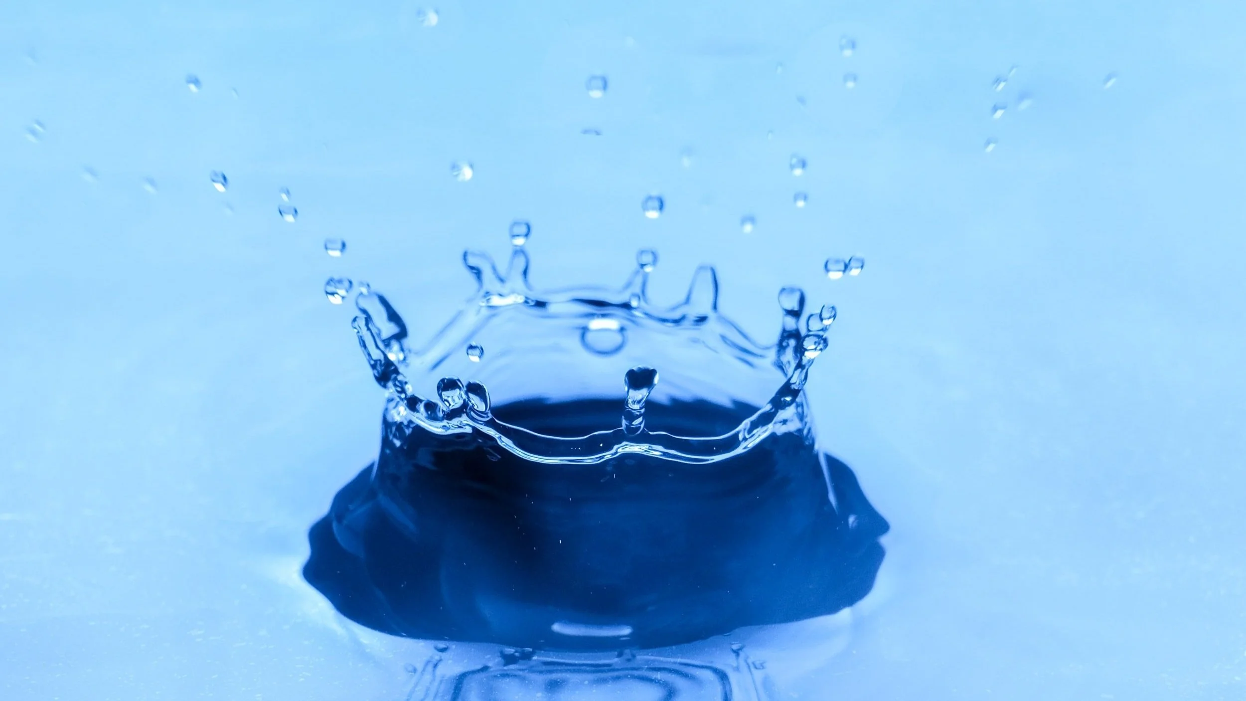 The Crown Of Life