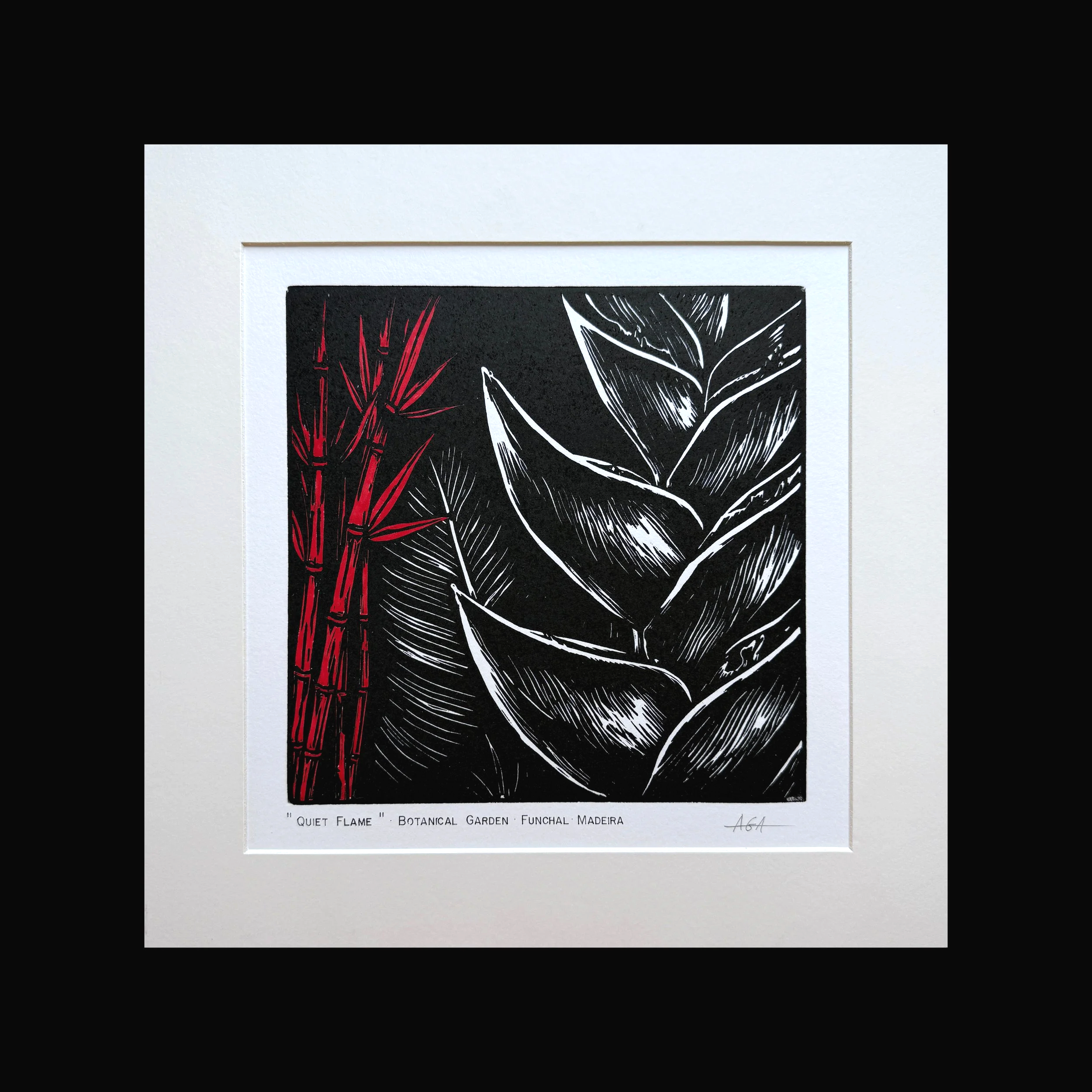 "QUIET FLAME", BOTANICAL GARDEN, FUNCHAL, MADEIRA, 30X30 CM (19,5X19,5), 100% COTTON, 250 gram