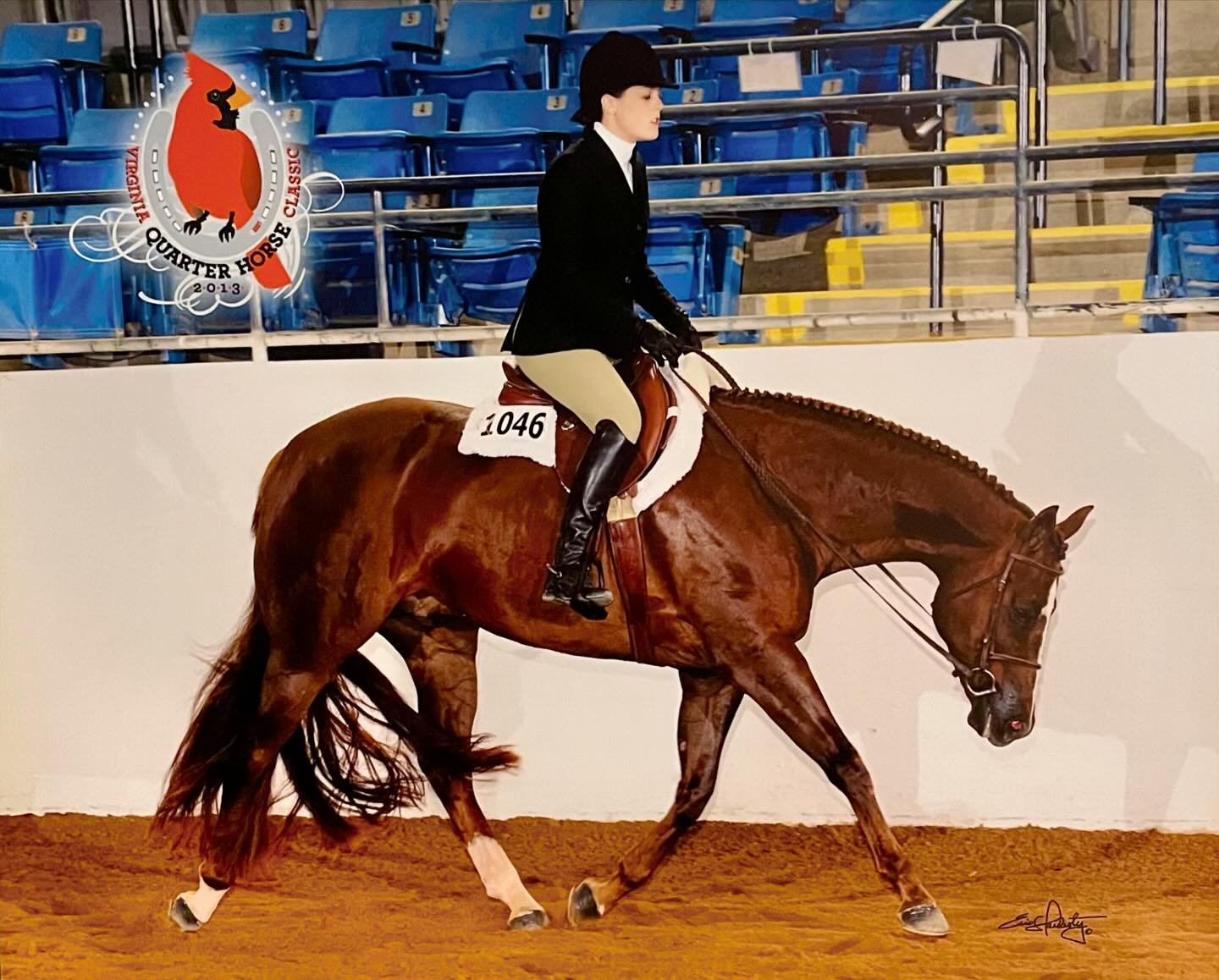 A little #ThrowbackThursday to the 2013 Virginia Classic! 🐴
.
This is Nearly Chocolate winning Reserve Circuit Champion in the Junior Hunter Under Saddle. This is one of my all time favorite horses I&rsquo;ve gotten to be a part of! Curley went on t