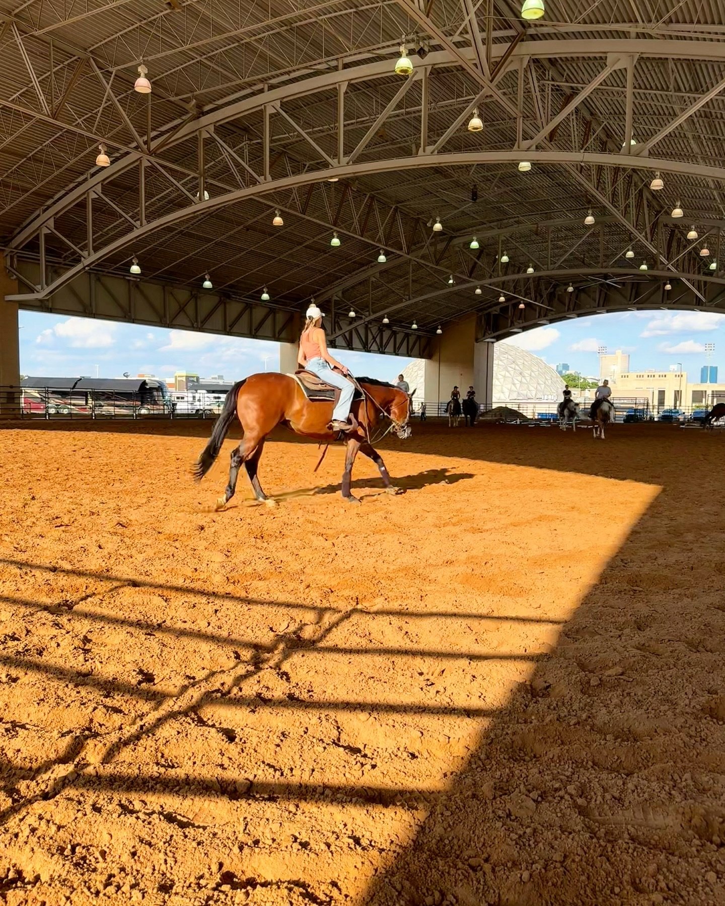 The Classic &mdash; another fun time in Fort Worth! Thank you TQHA &amp; An Equine Production for a great show. We got a lot of productive schooling done before heading to The Congress!🐴

Tarrzan &amp; Suzie Tyler
🥉L1 Amateur Showmanship
L1 Amateur