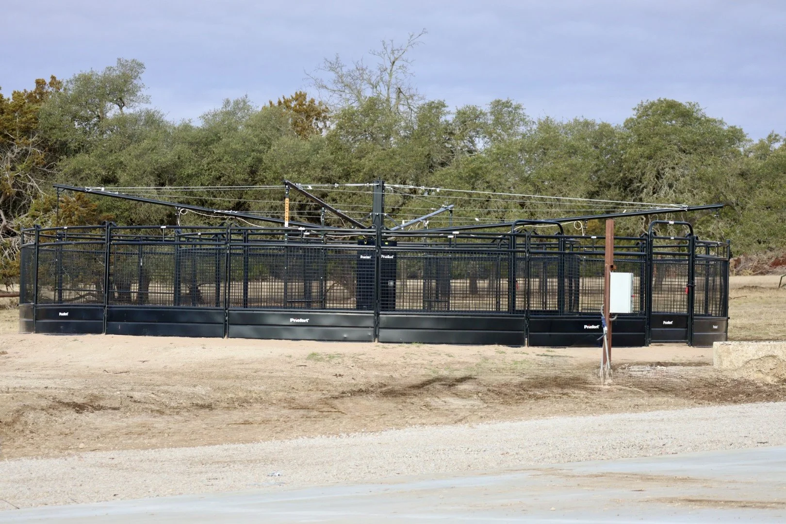 Empty cattle or animal pen with black metal fencing in a rural area, trees in background, and a clear sky.
