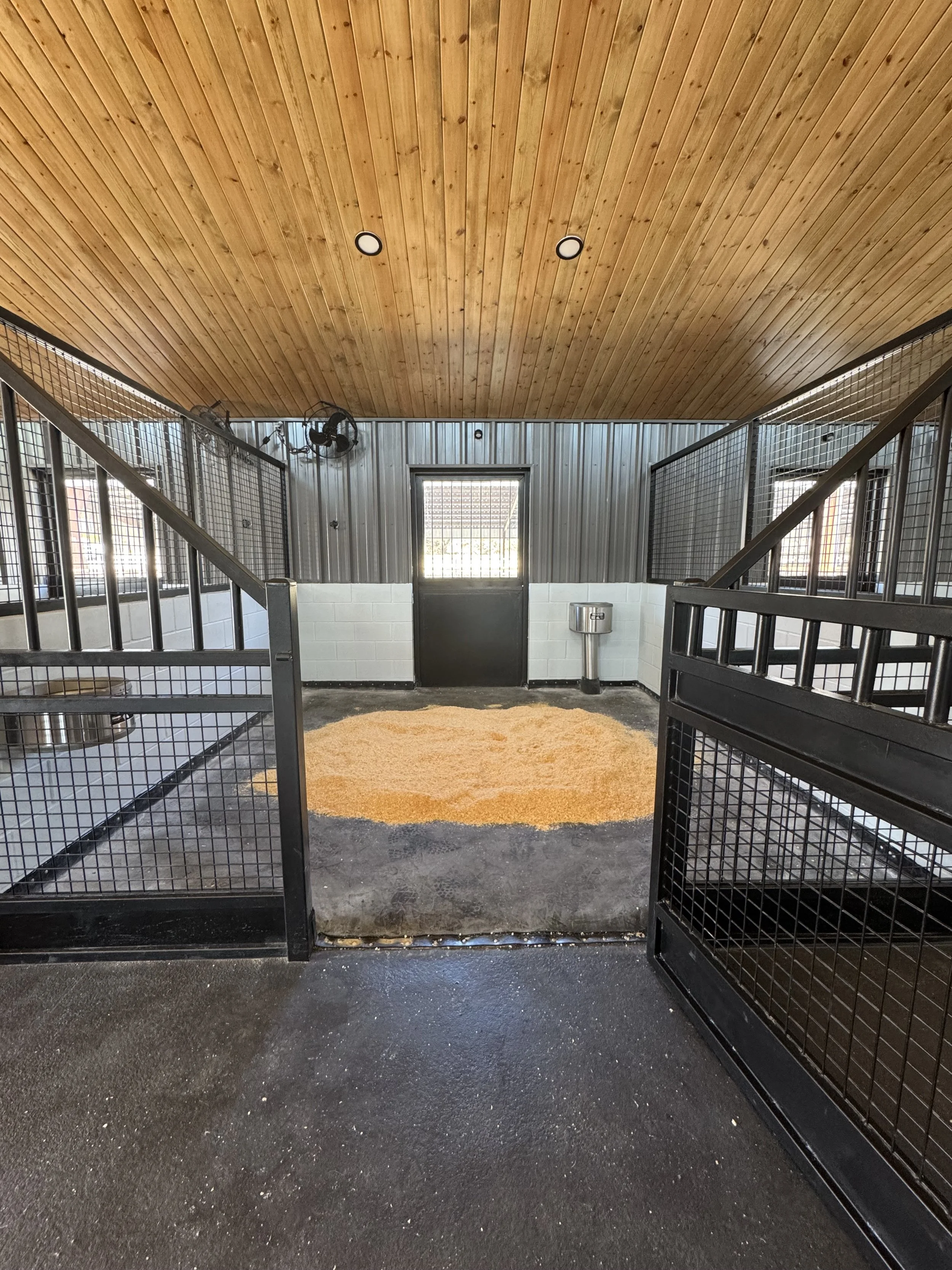 Indoor horse stable with black metal fencing and open stalls, a door with a window, ceiling fans, wood-paneled ceiling, and a round bale of hay on the floor.
