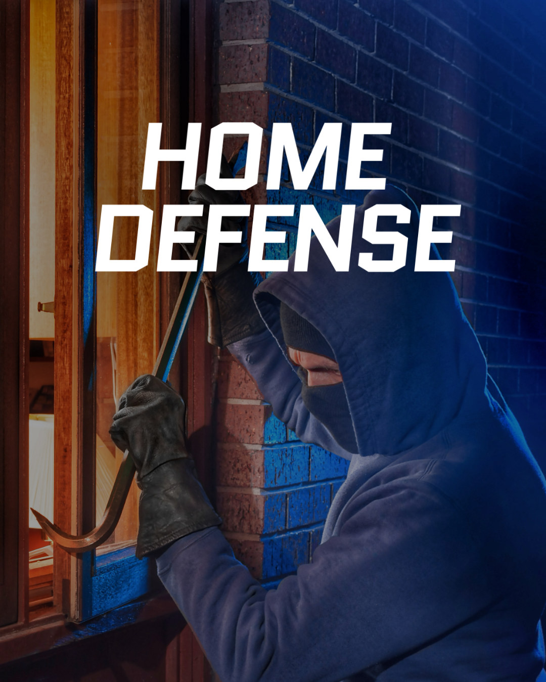 CDS HOME DEFENSE