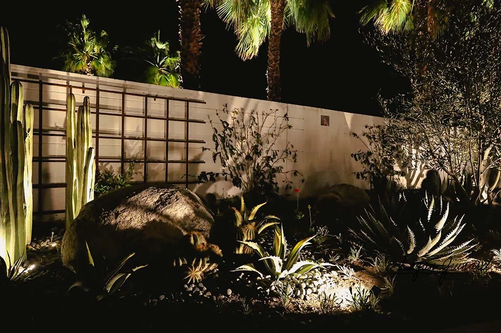 Desert lighting jay landscape illuminators.jpg