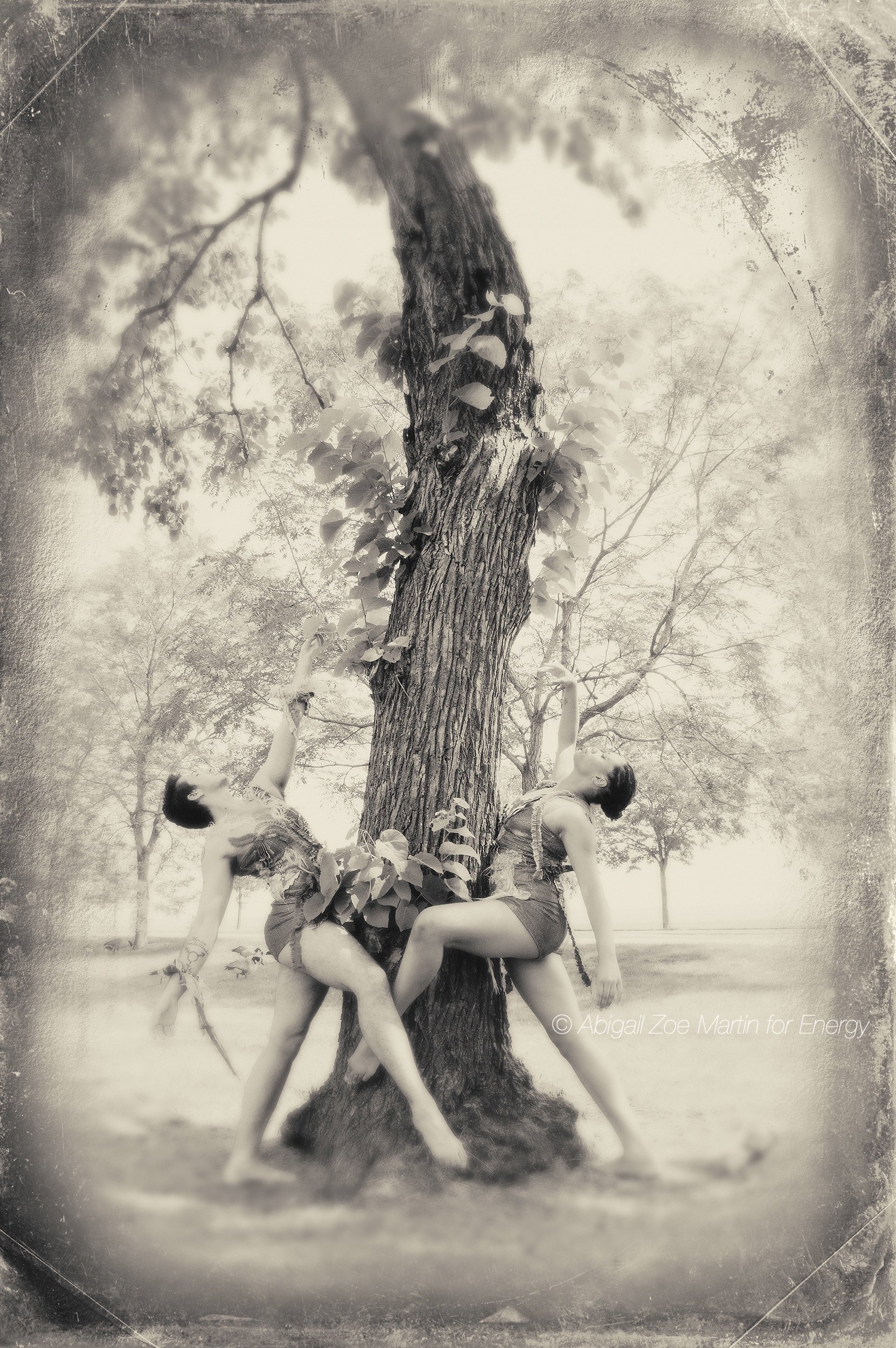 Joel Hall Dancers - Black and White - 26x17.3 - This is a series at $750 each / or 2 for $900 / or $2000 for 4.