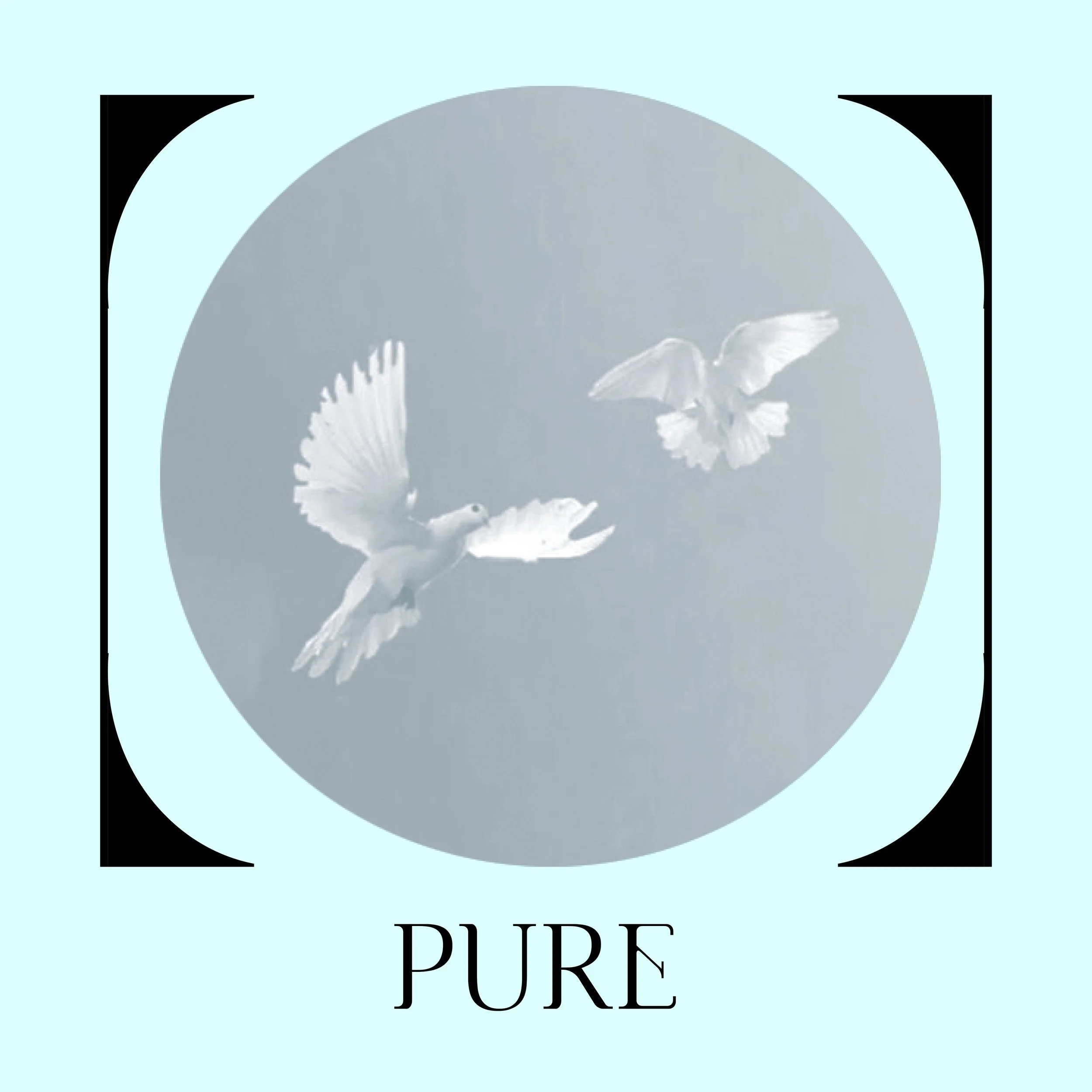 purepure.jpg