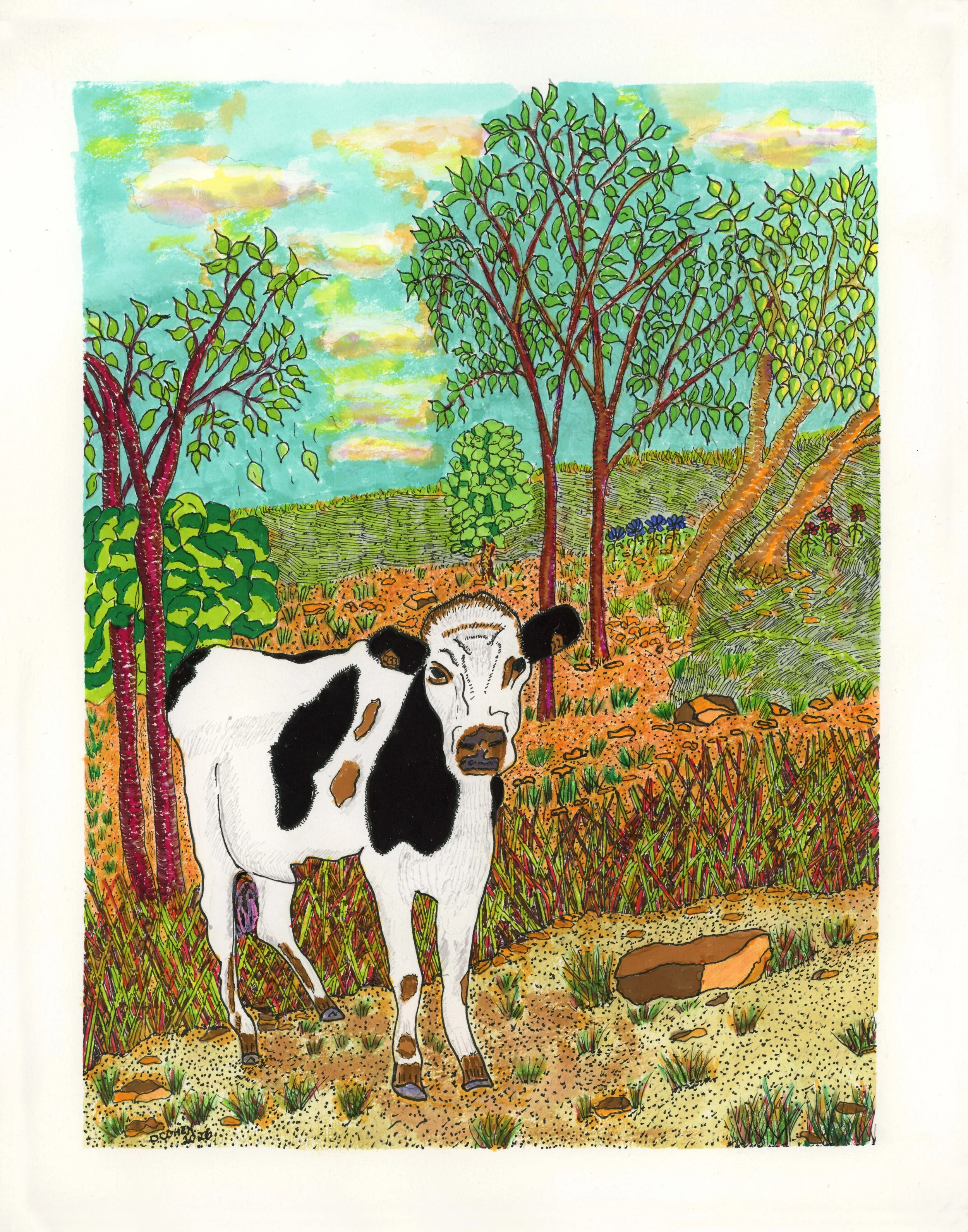 Sonoma Cow