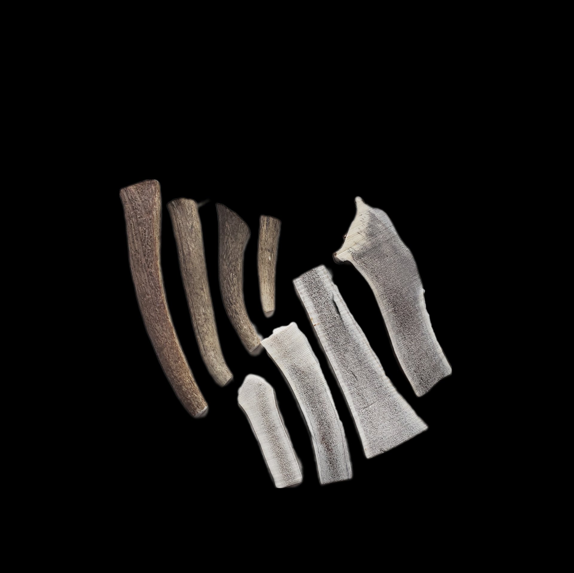 Elk Antler Chews