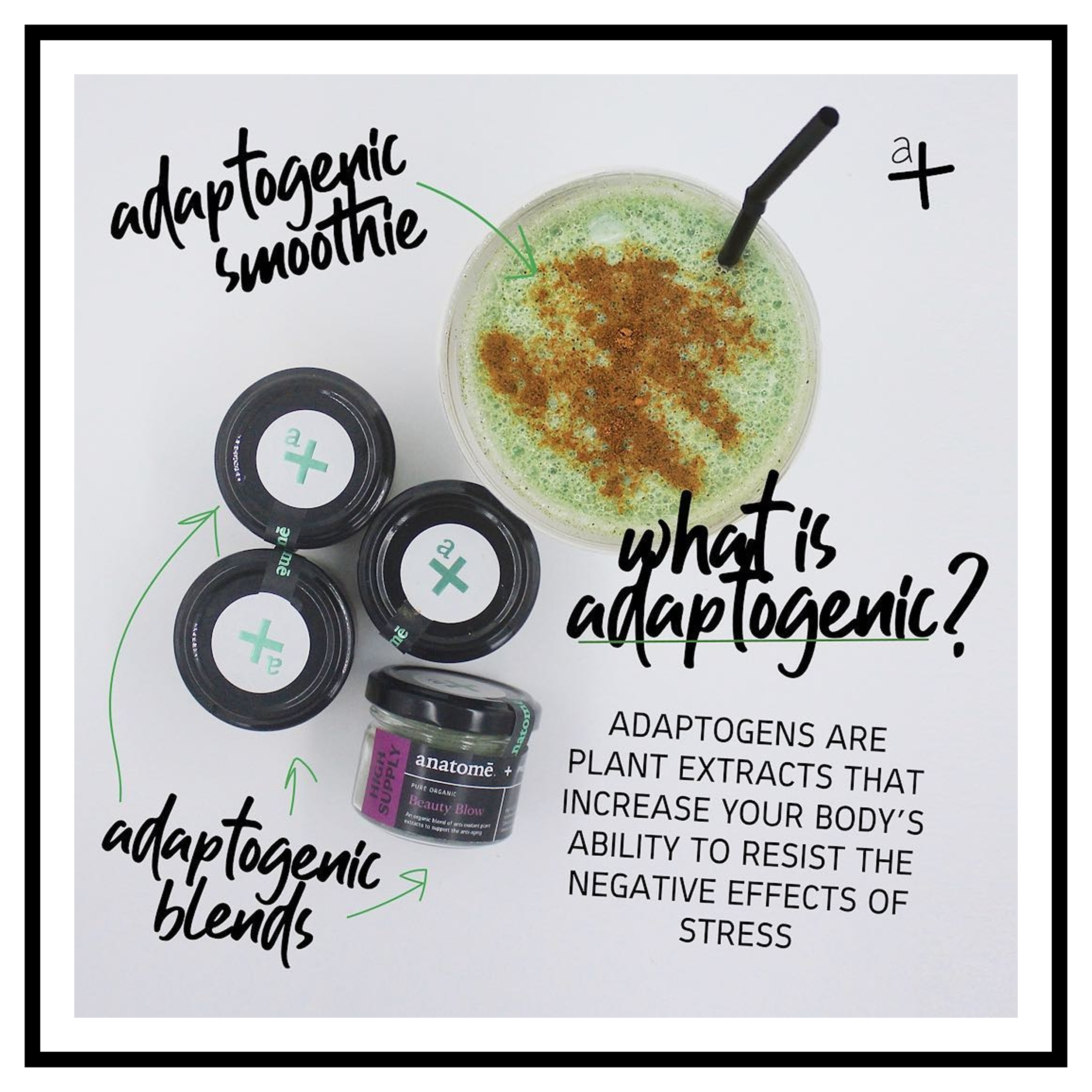 adaptogenic.png