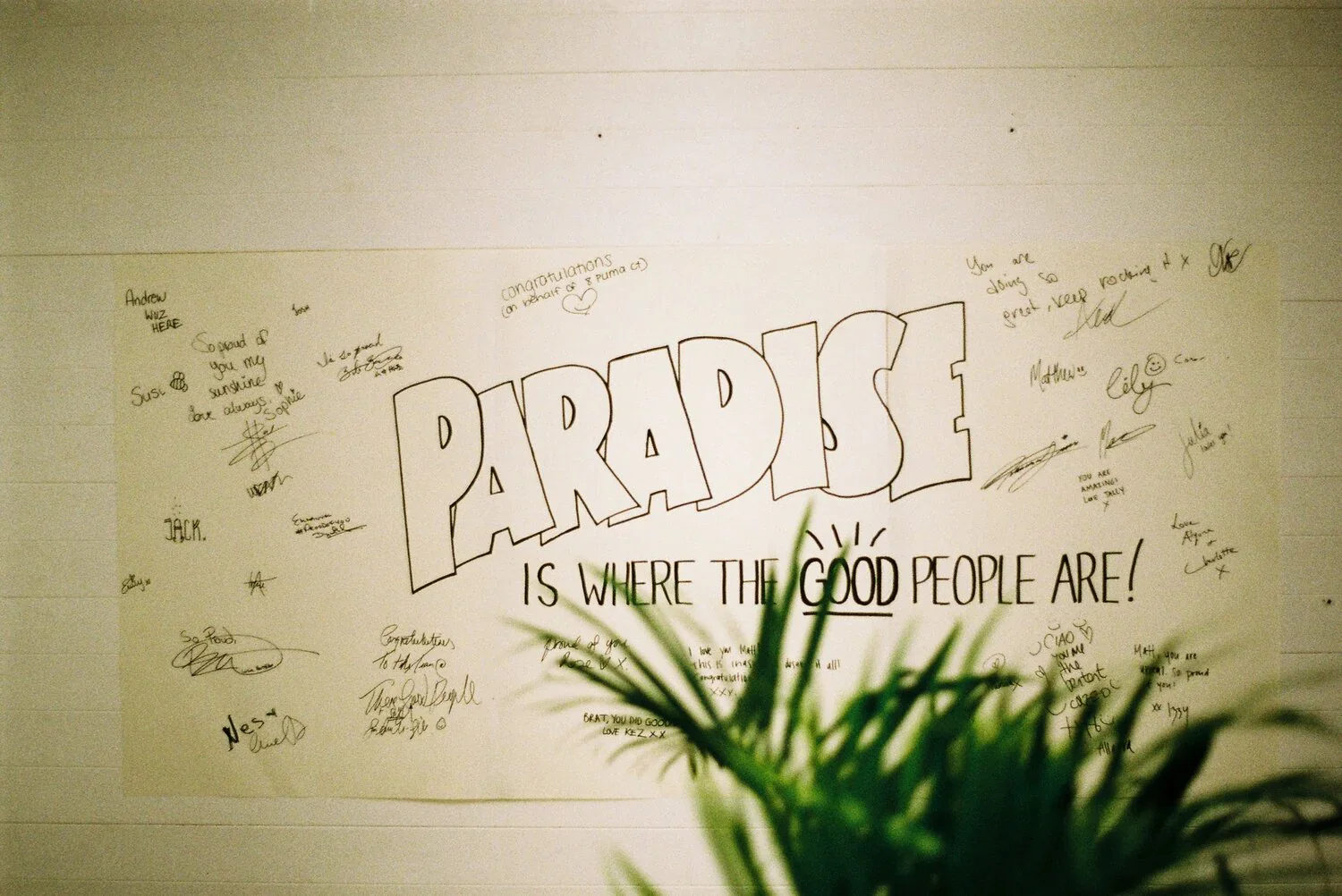 Custom Lettering done by @palomalilyplum, visitors of the shop signed it. It now hangs on the wall in my studio.