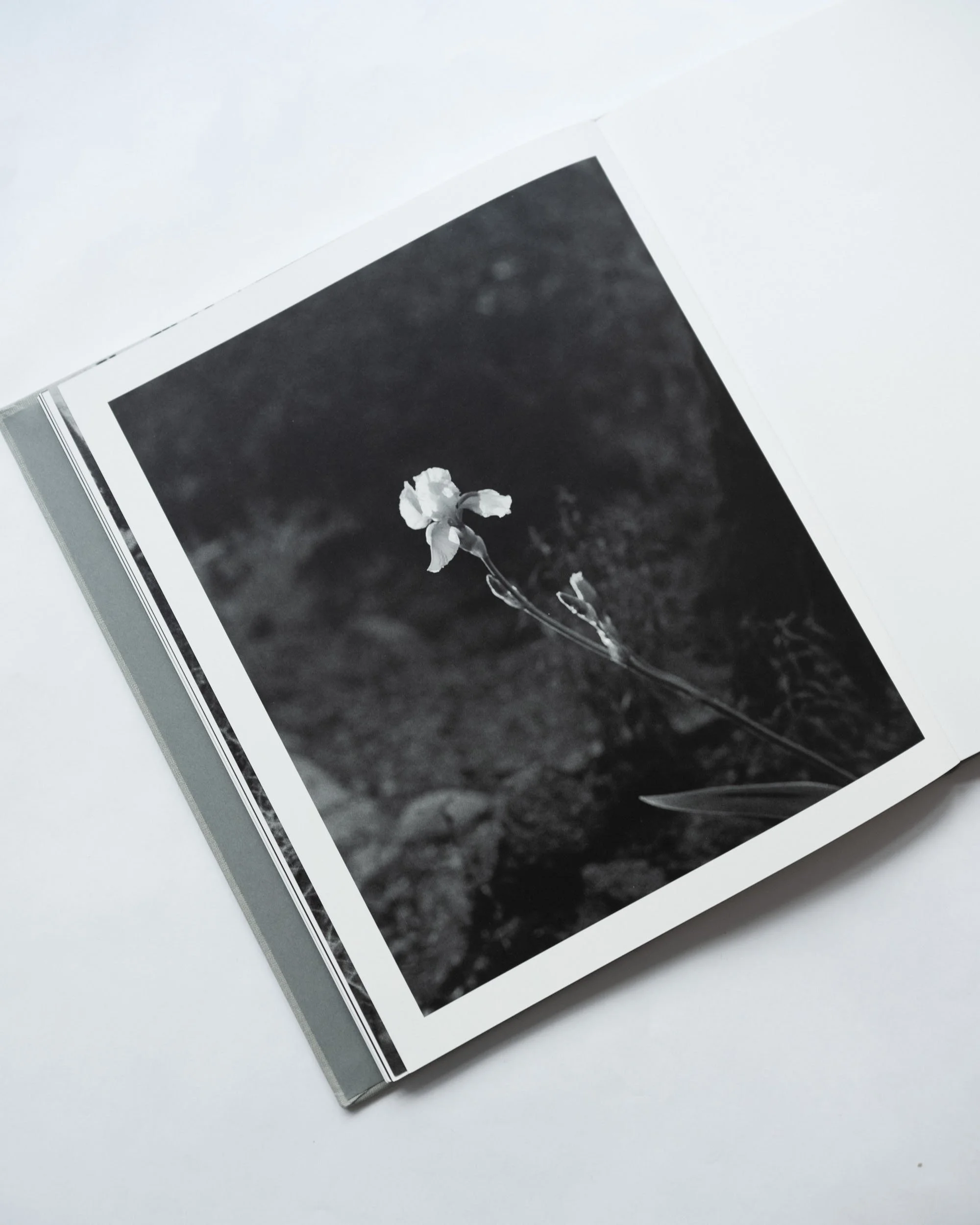 ORACLE_BOOK23.jpg (Copy)