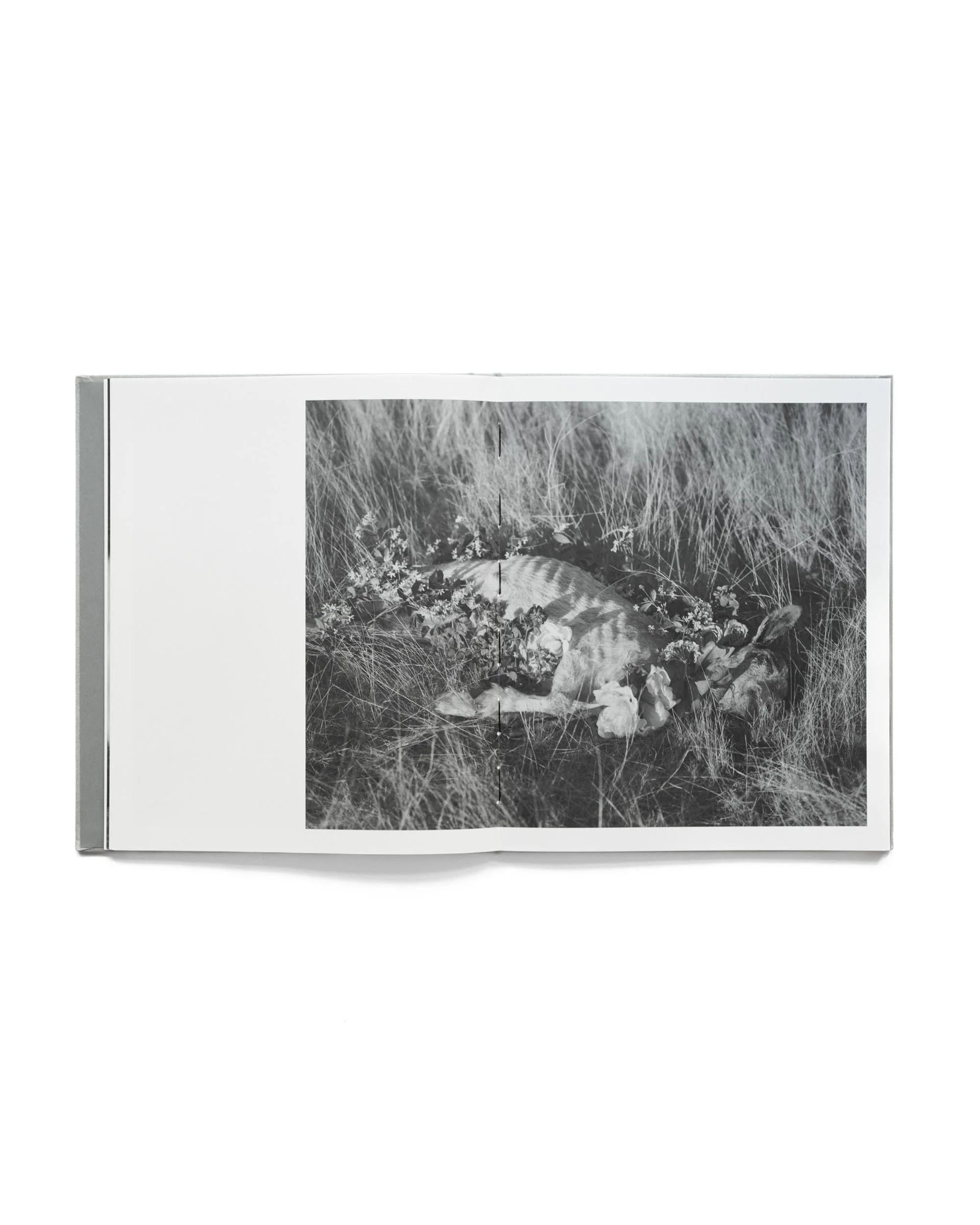 ORACLE_BOOK18.jpg (Copy)