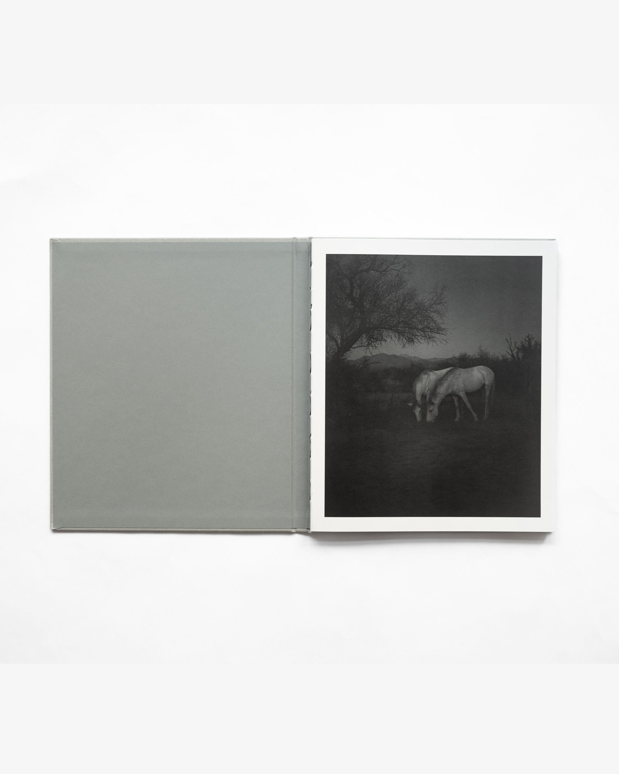 ORACLE_BOOK16.jpg (Copy)