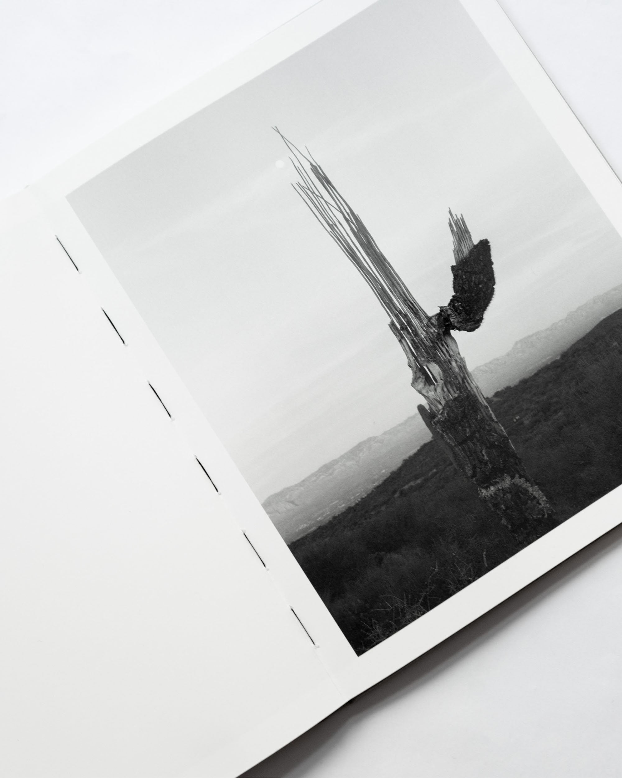 ORACLE_BOOK24.jpg (Copy)