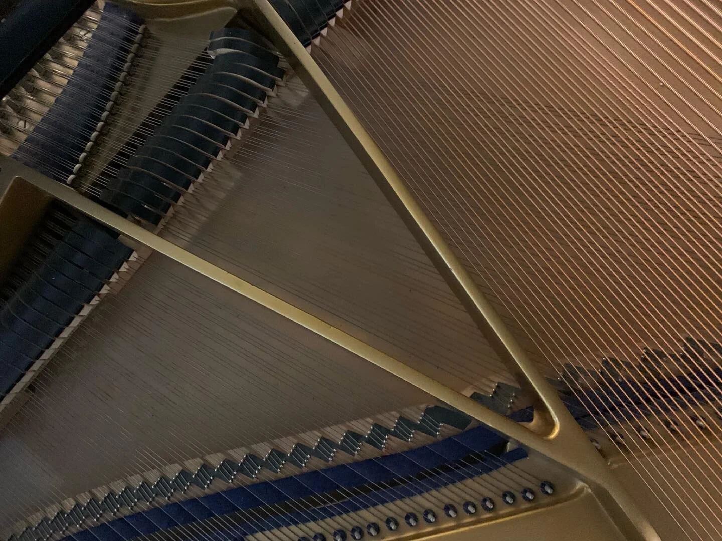 New strings on a beautiful Stegler that found its forever home in #Oakville. I have another #steglerpiano for sale now if you’re interested, or message me if you’re looking for something else!
#babygrandpianosforsale #stegler #steglerpia