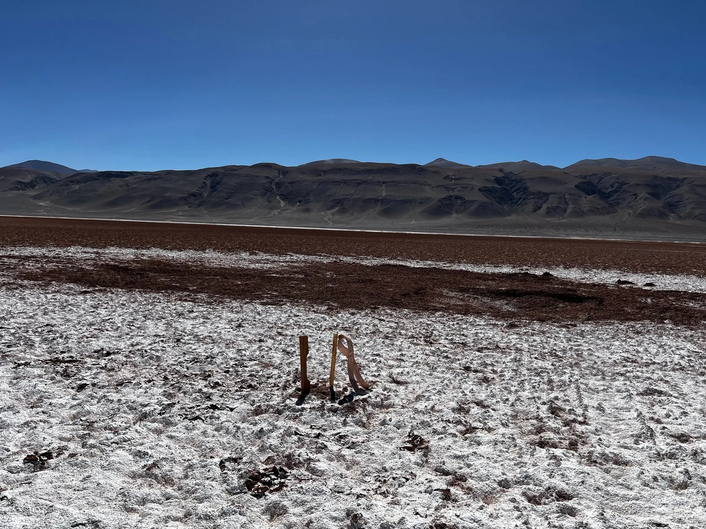 Pocitos Salar — SPEY RESOURCES CORP