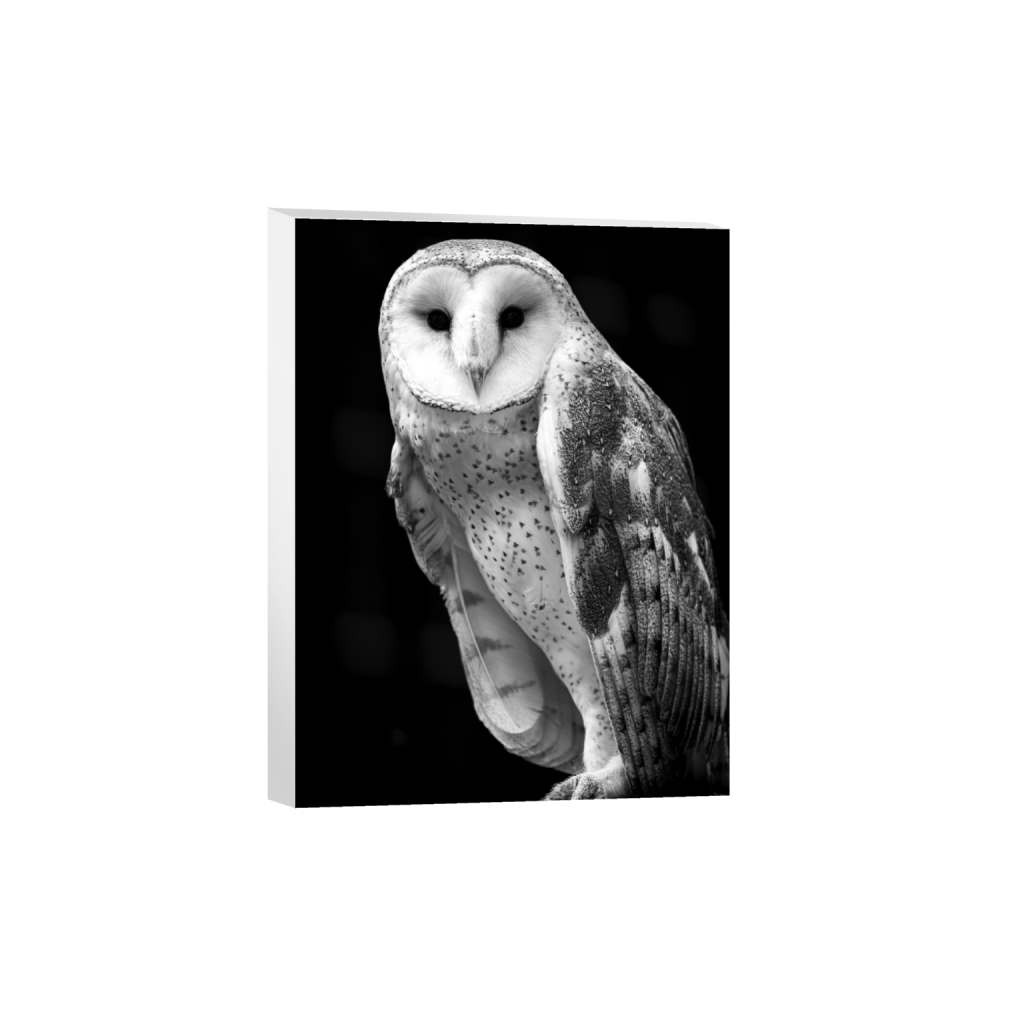 canvas_rectangle3_4_0_328_3958_5277_0.png