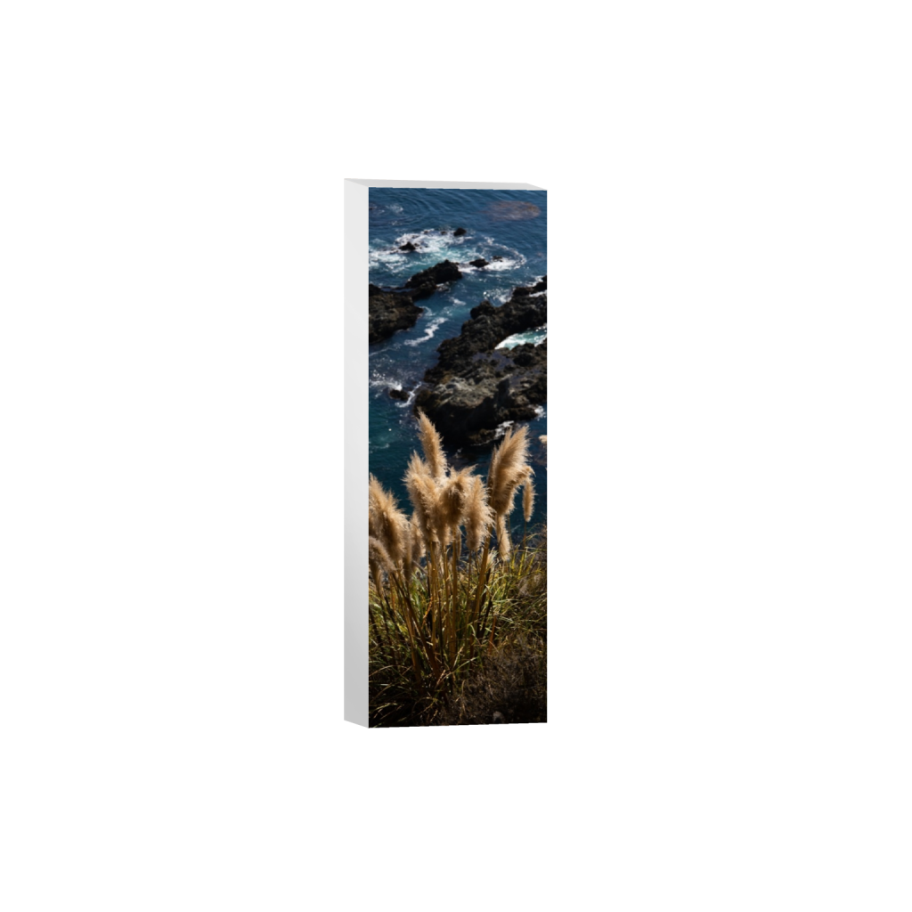 canvas_rectangle1_3_924_0_1849_5549_0.png