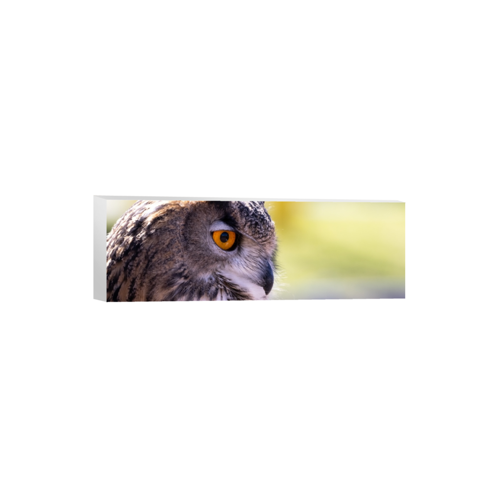 canvas_rectangle1_3_0_852_5218_1739_0.png