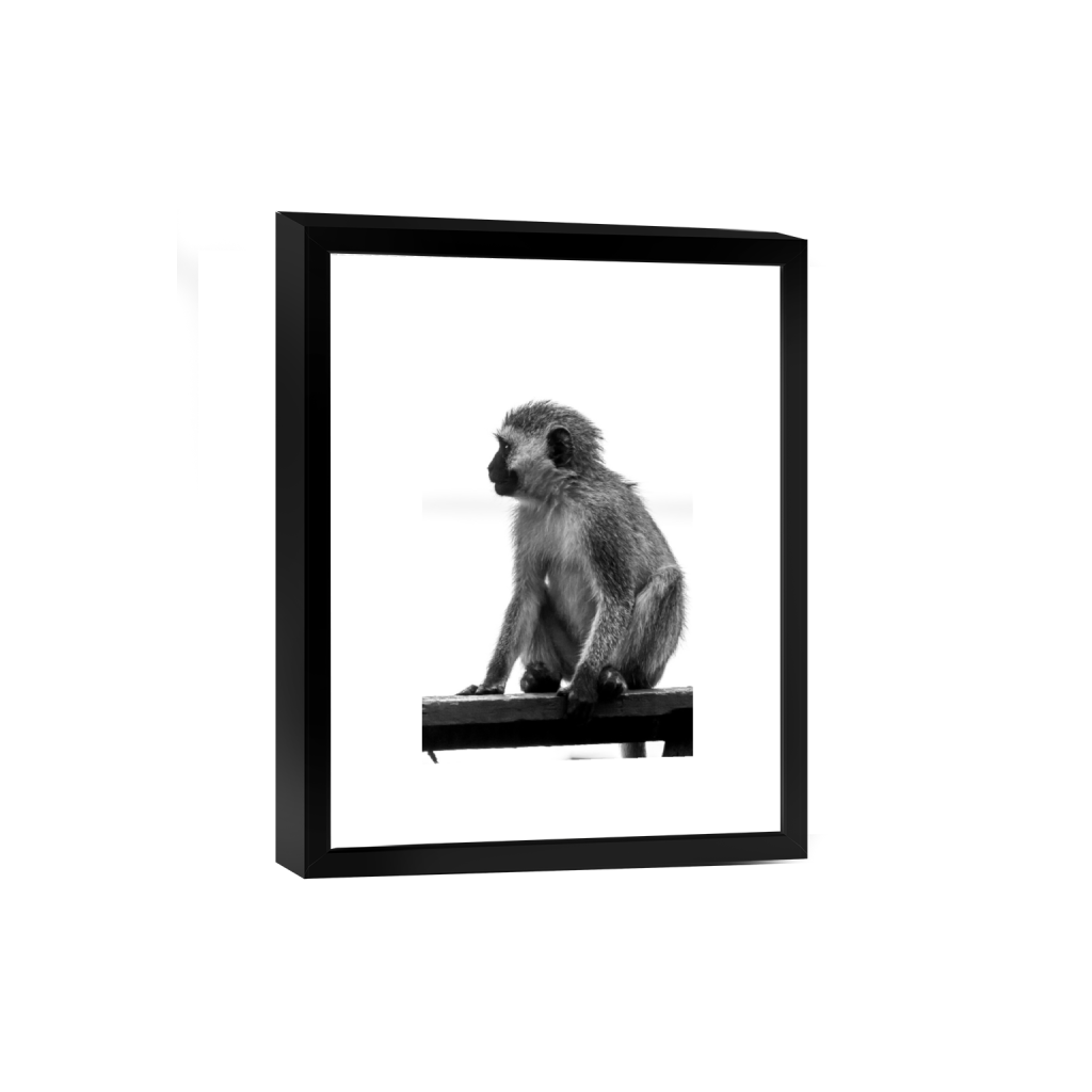 smartframe_rectangle2_3_6_0_2594_3892_0.png