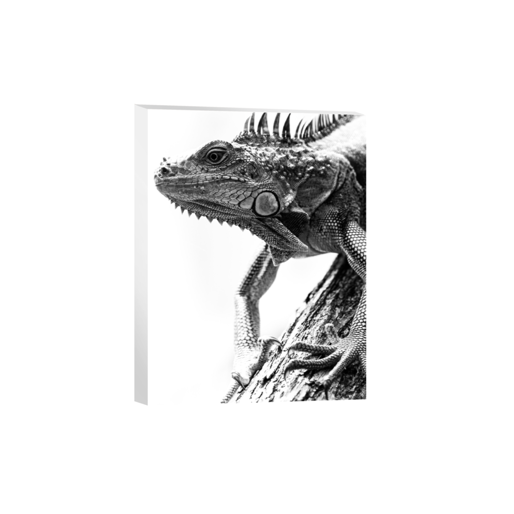 canvas_rectangle3_4_0_254_3059_4078_0.png