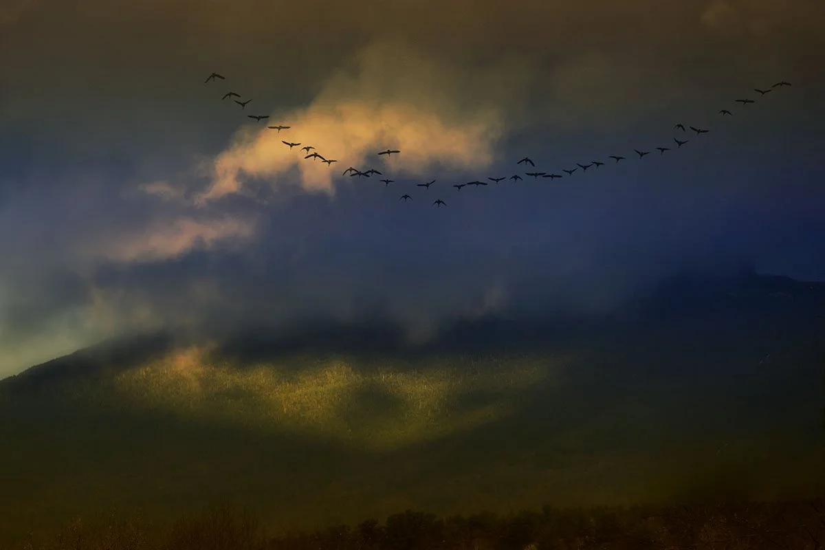 Magicians in Flight