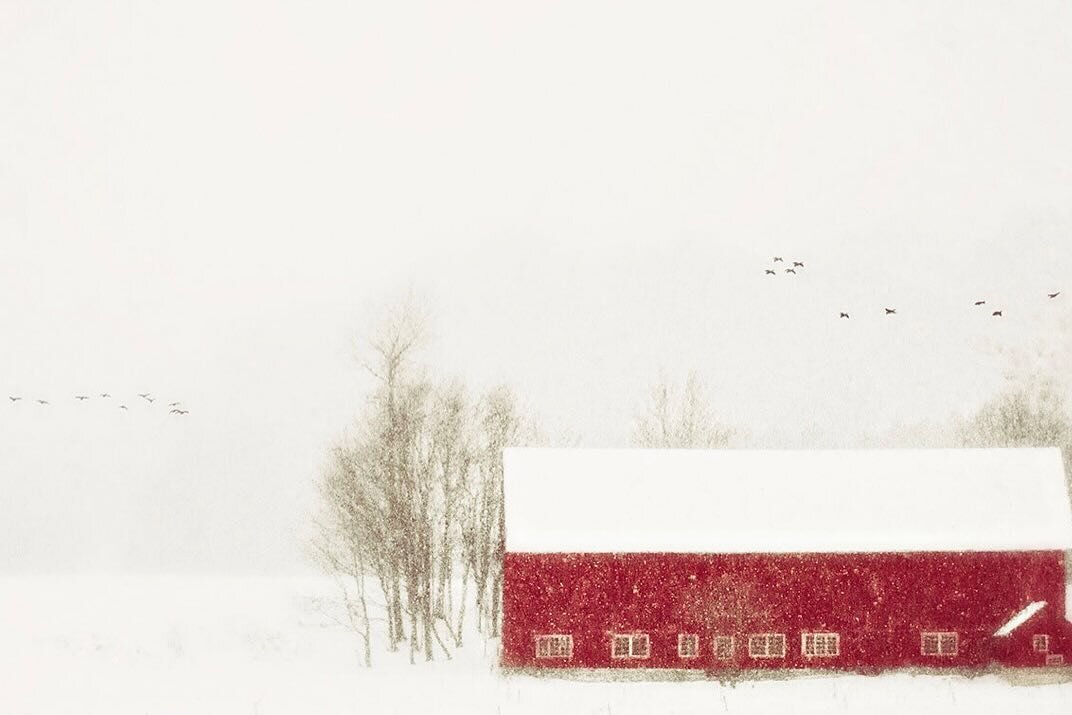 One from the archives&hellip;and one that I still love.
&lsquo;Around that Corner&rsquo; is a just right representation of this day. Here&rsquo;s hoping that spring is what&rsquo;s awaiting us just beyond and around the corner.
#fineartphotography #a