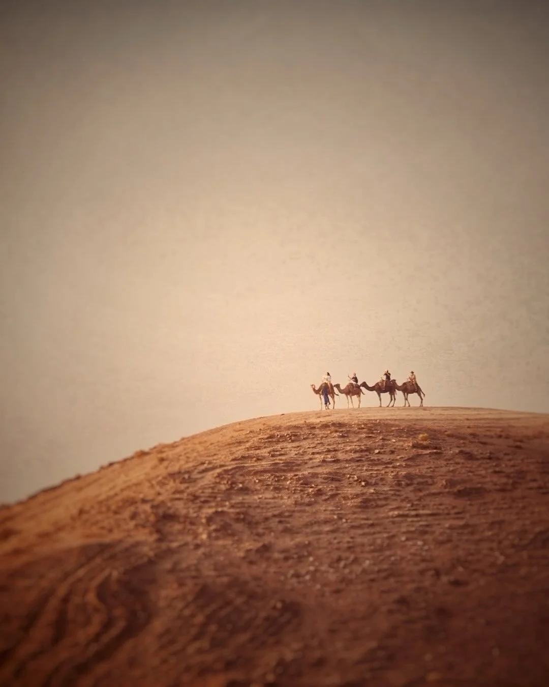 A quick trip to Agafay&hellip;just in time to see the sun set over the desert sands and this small camel caravan. Simple. Stark. Beautiful.
#morocco #agafay #agafaydesert #agafaymarrakech #camels #marrakechdesert #travelphotography #vermontartist
