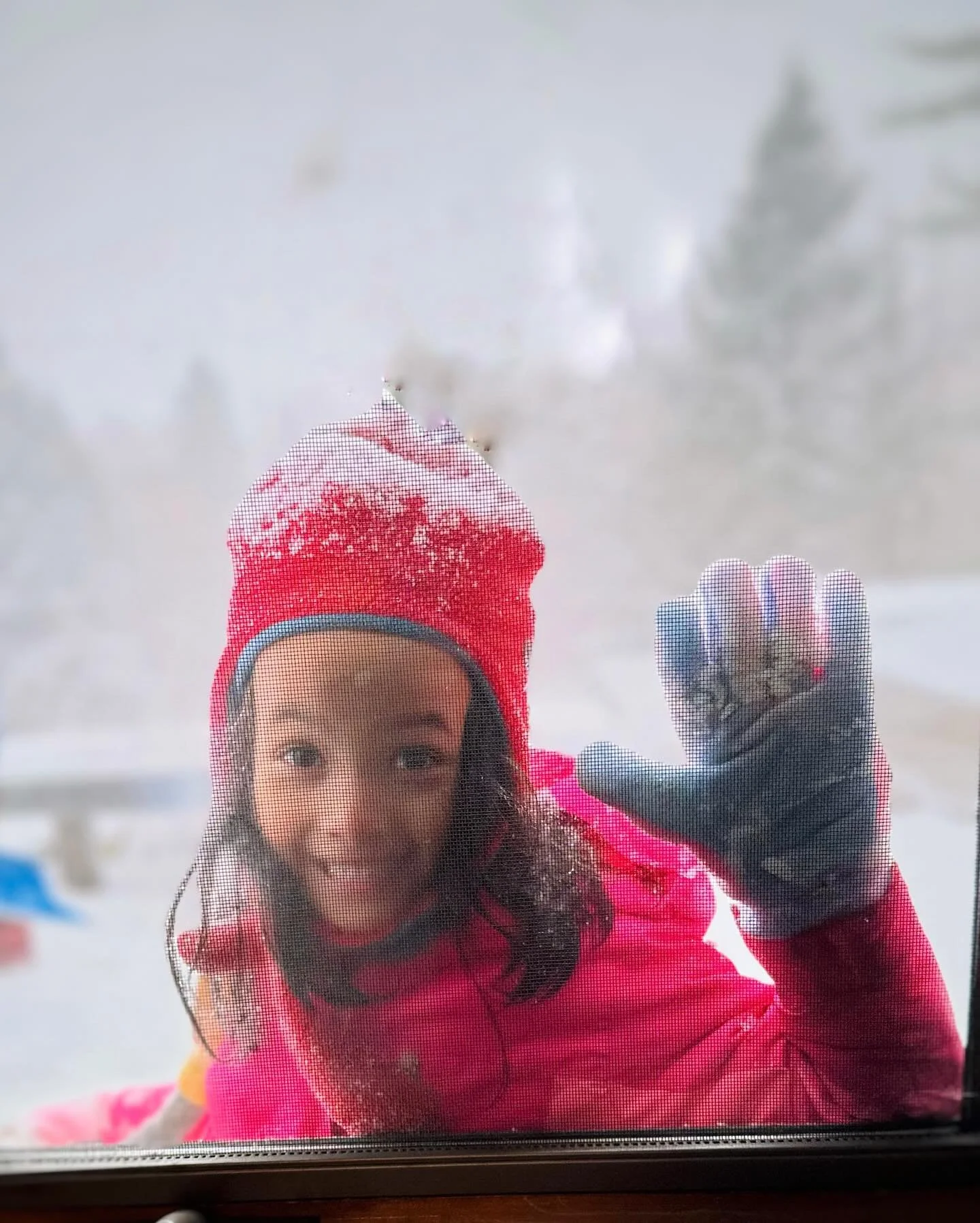 So much day-after-Thanksgiving fun in the snowglobe. 🙏🙏🙏
#grandmothering #granddaughter #grandchildren #snowglobe #ambroseandruby #snow #prettyinpink #snowdayfun #vermontartist