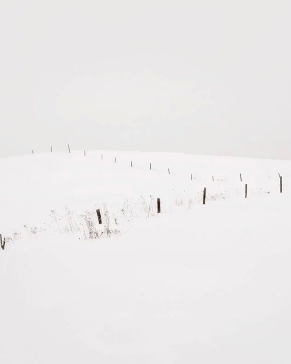 Winter.
#fineartphotography #letitsnow #december #stowevt #winterart #snow #white #vermontart #vermontartist