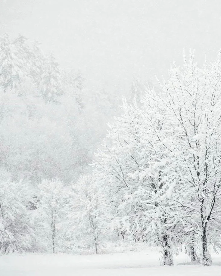 Still winter.
Winter still.
#fineartphotography #winterlandscape #snow #vermontartist #whiteonwhite