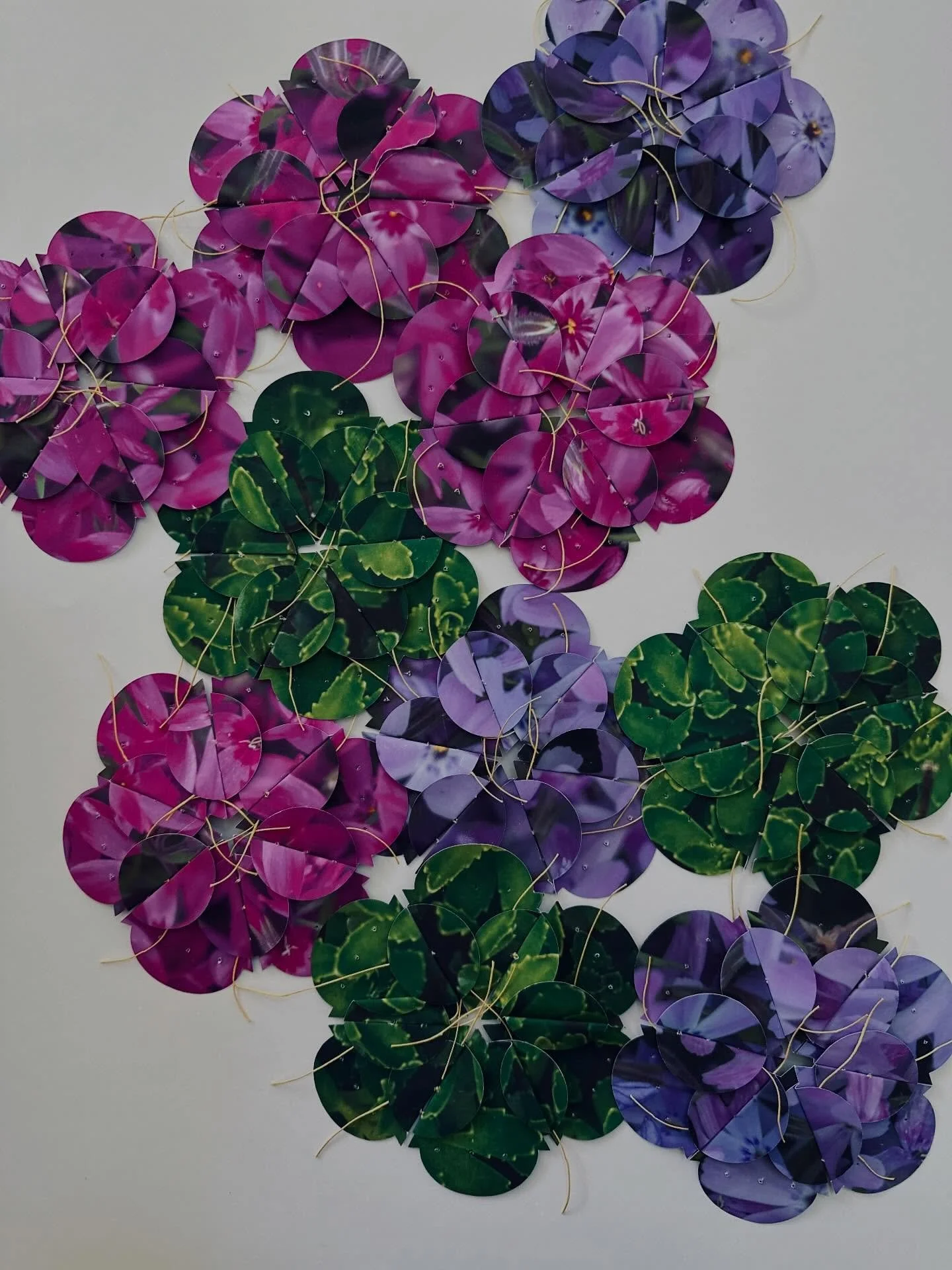 A new color palette in anticipation of spring&rsquo;s arrival.

Purple - defiance without spectacle.
Pink - love as resistance.
Green - a quiet refusal to disappear.

Puah and Shifra were two midwives who defied Pharoah&rsquo;s orders to kill all the