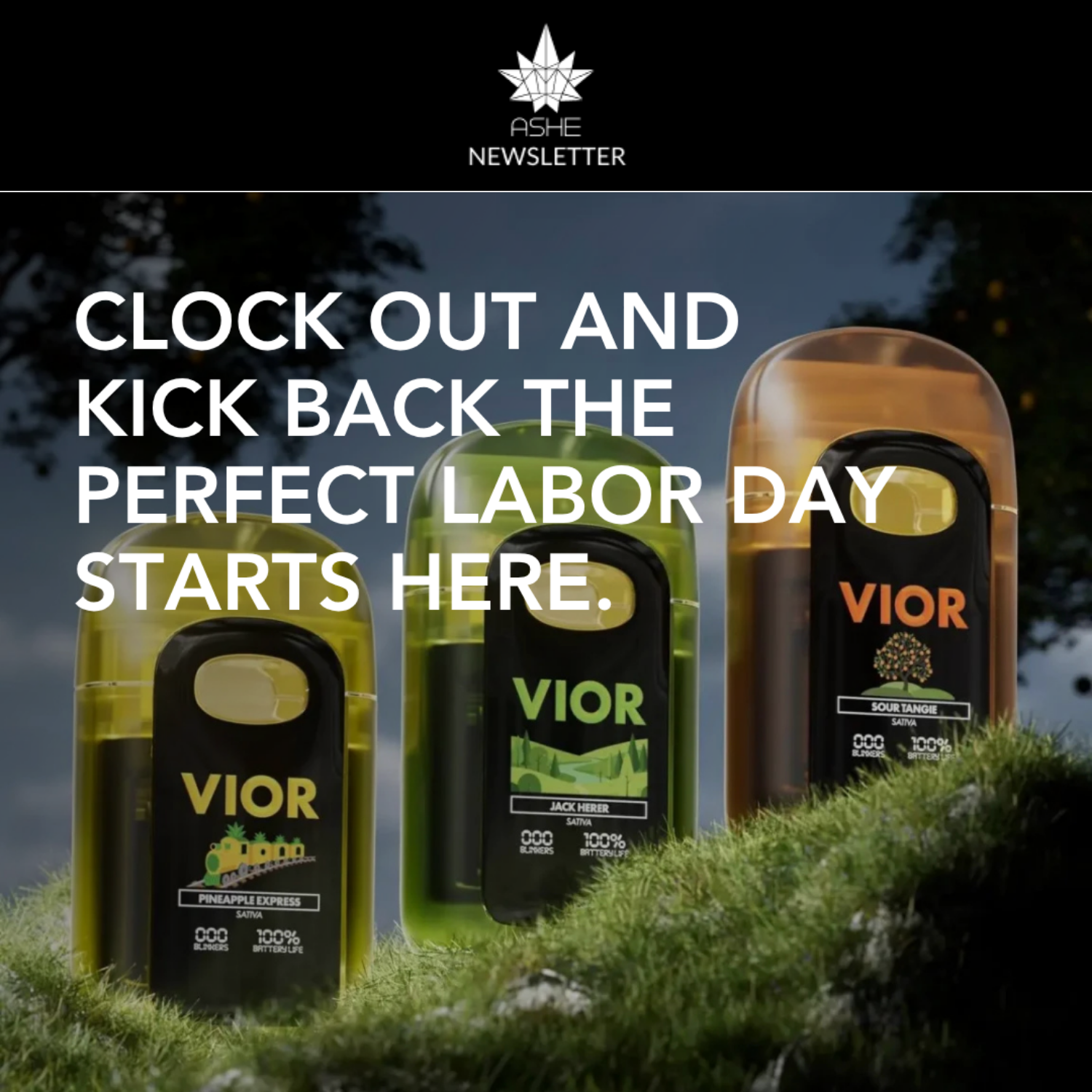 Celebrate the long weekend with featured deals and plenty to discover at ASHE.