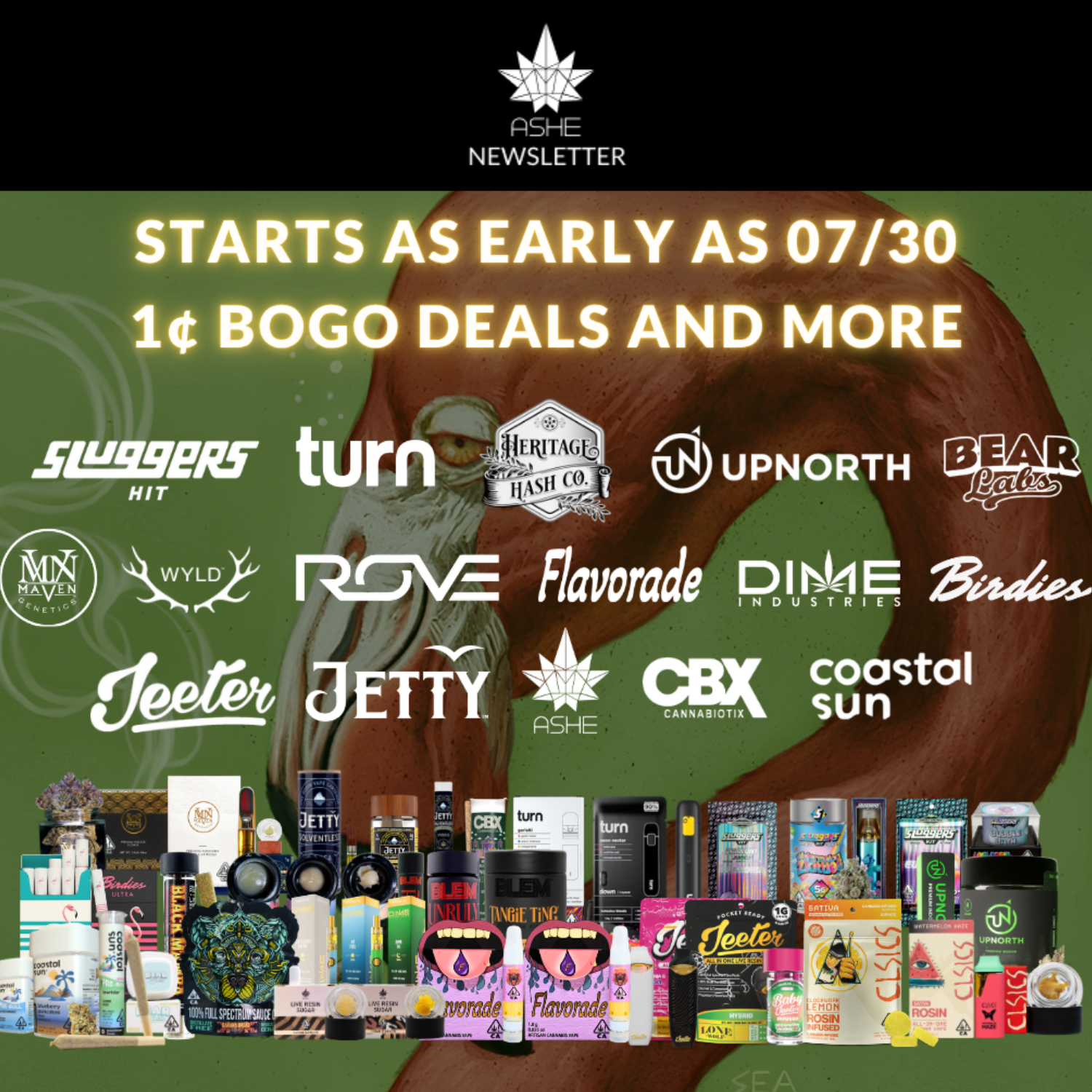 Explore Birdies and discover a better pre-roll experience.