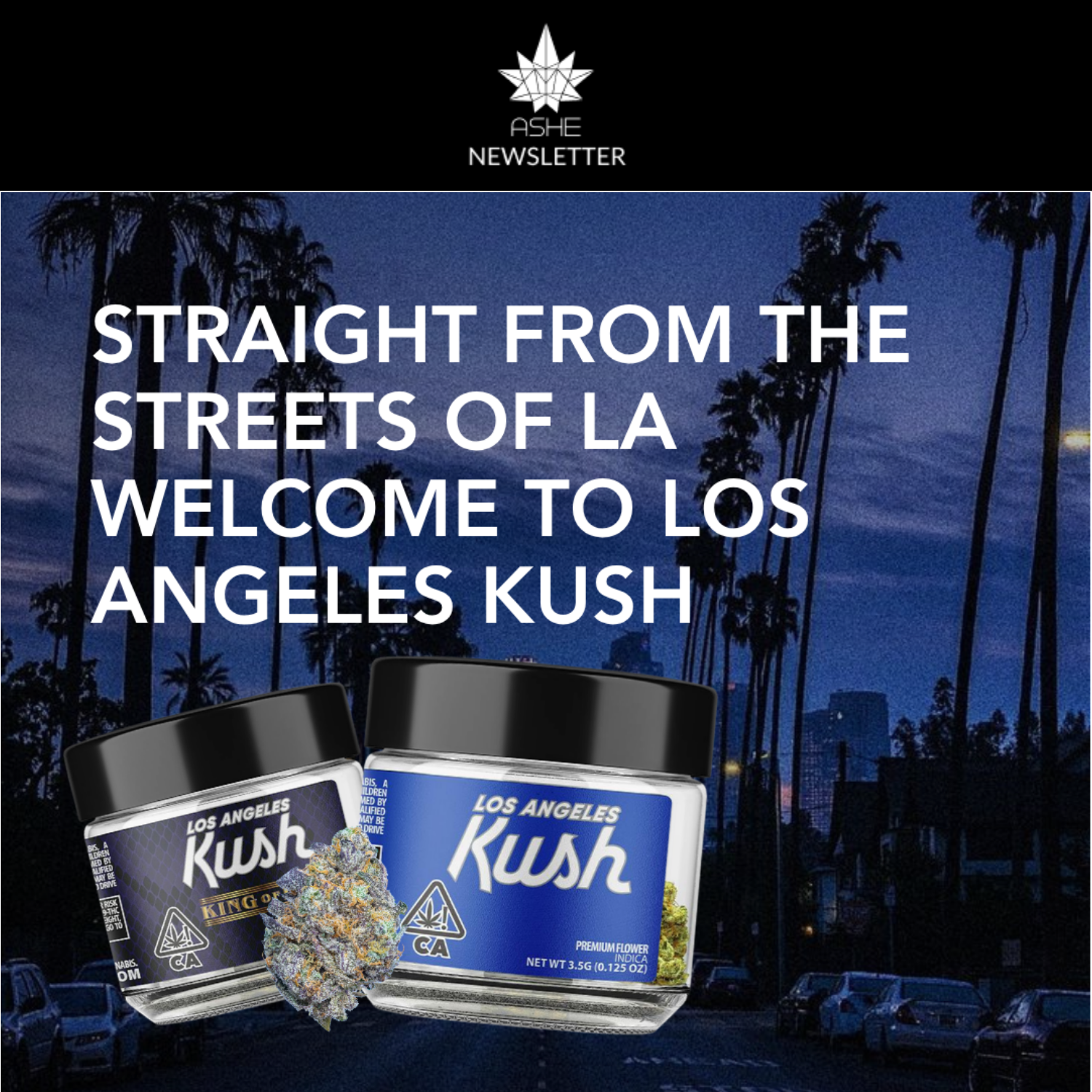 Straight from Los Angeles to ASHE—discover our newest flower lineup.