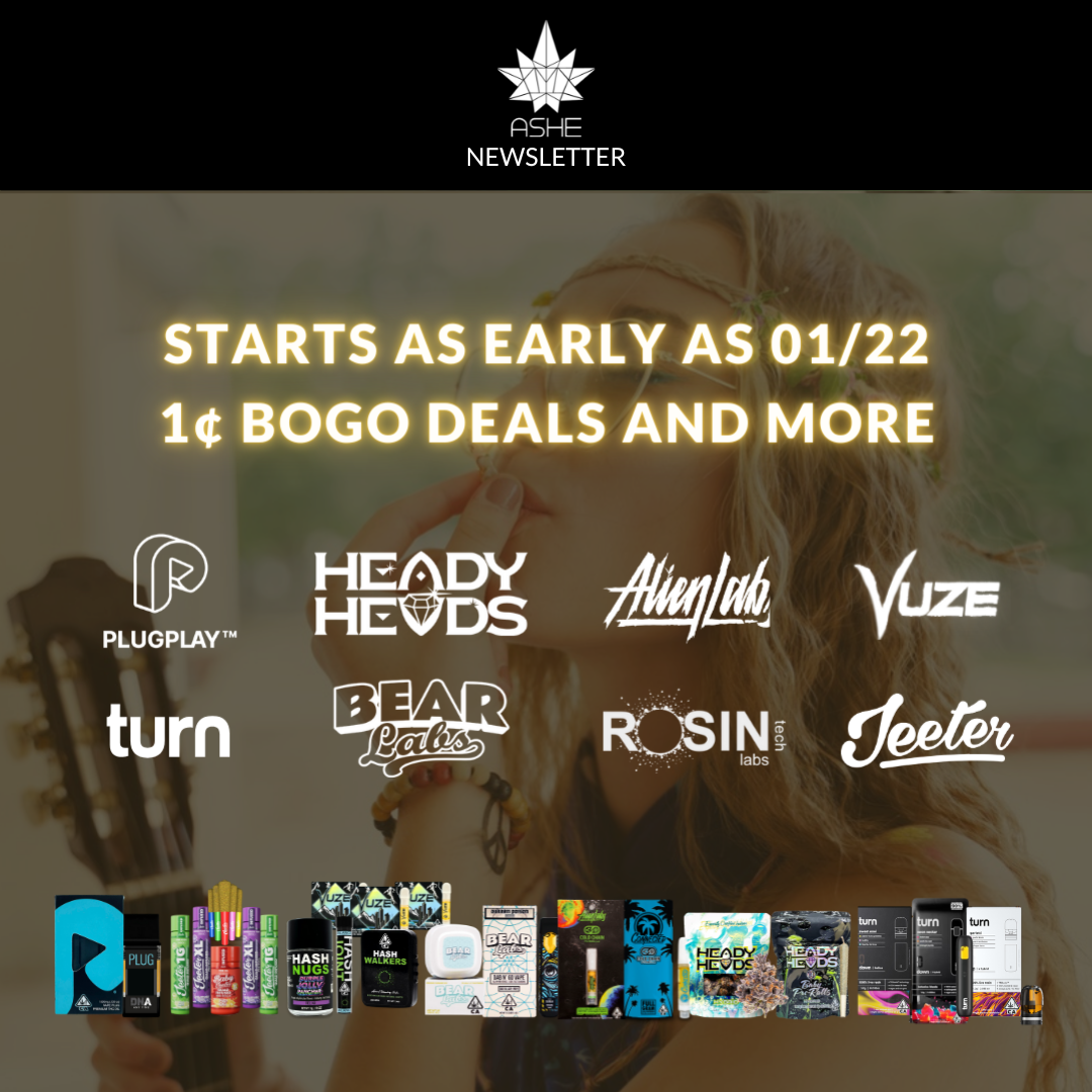 🧠🧘Welcome to an Elevated Headspace! Meet Heady Head.