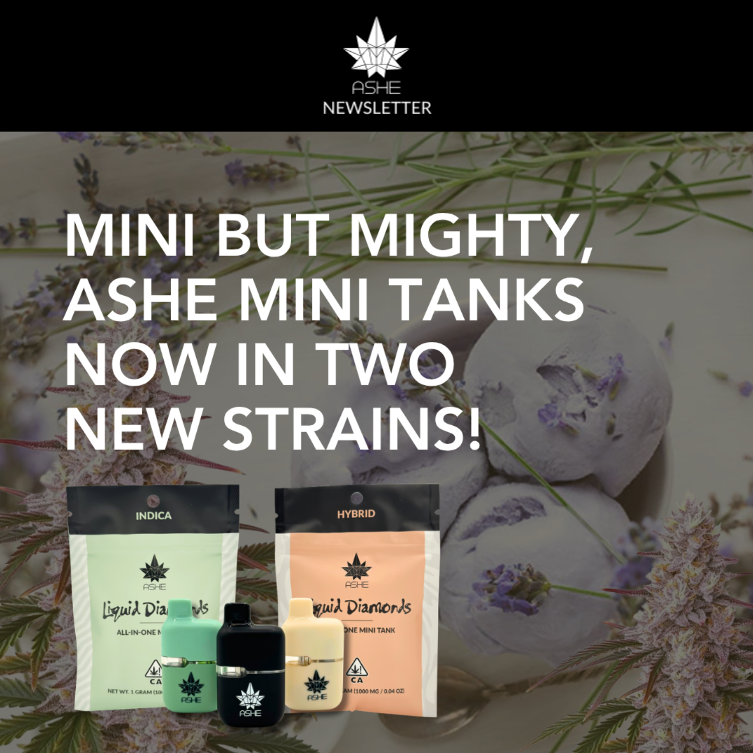 🪻💨 Brand New Strains, Same Heavy Hits!