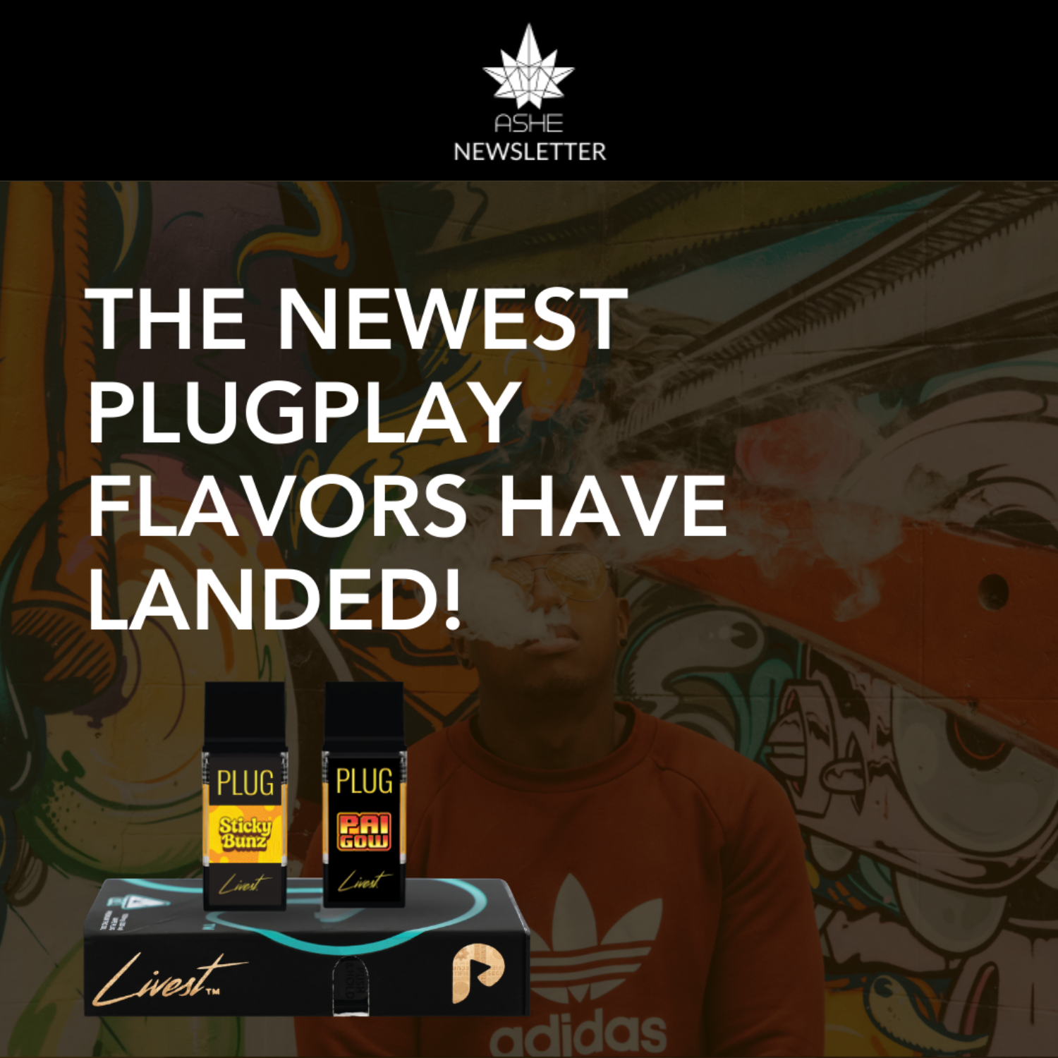 New Plugplay Strains: Sticky Bunz & Pai Gow Avaliable Now at ASHE Society