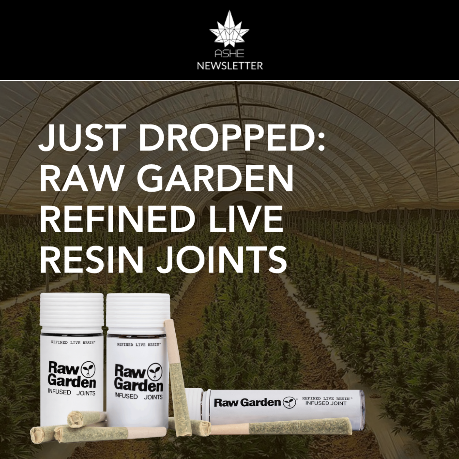 ✨🌱NEW!! Raw Garden Refined Live Resin Joints