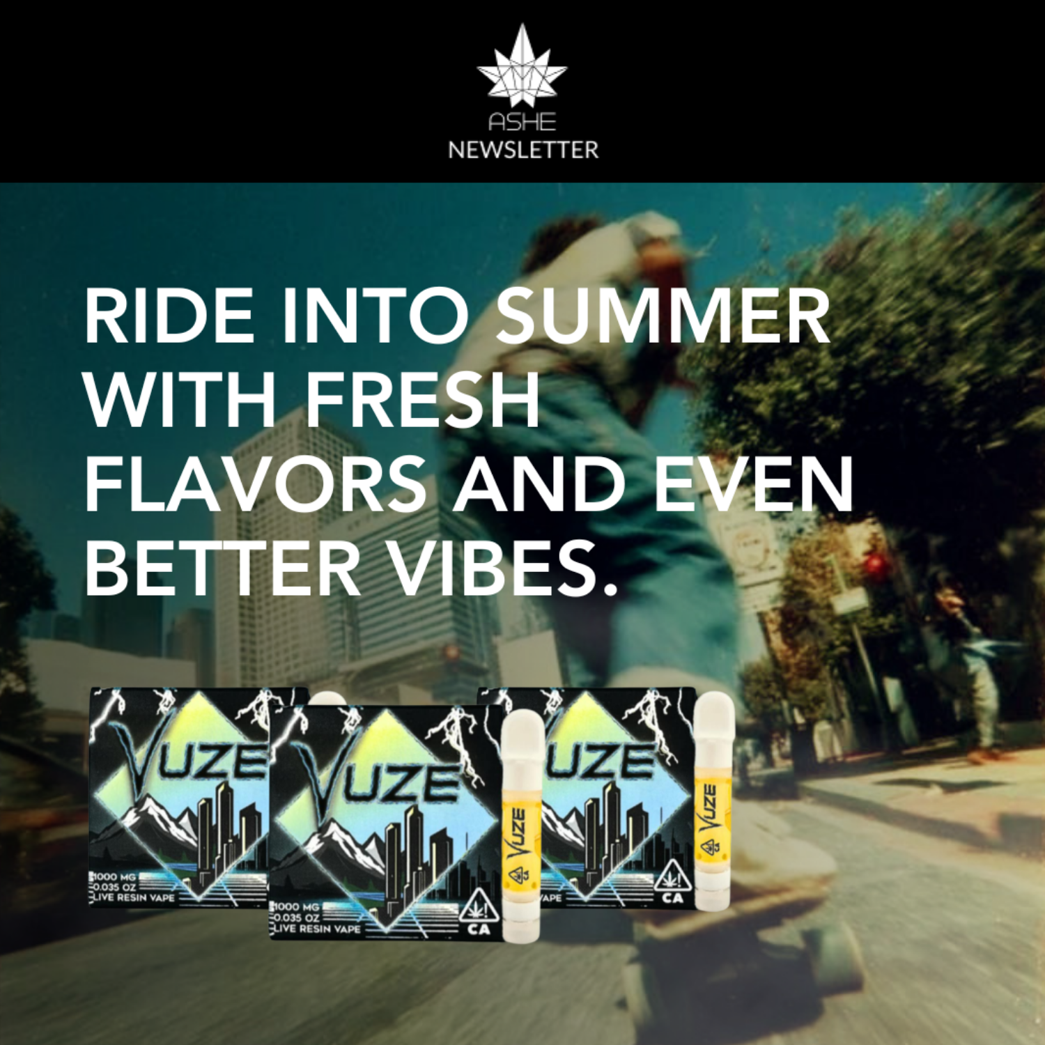 🏝️Chase The Summer Vibes🏝️