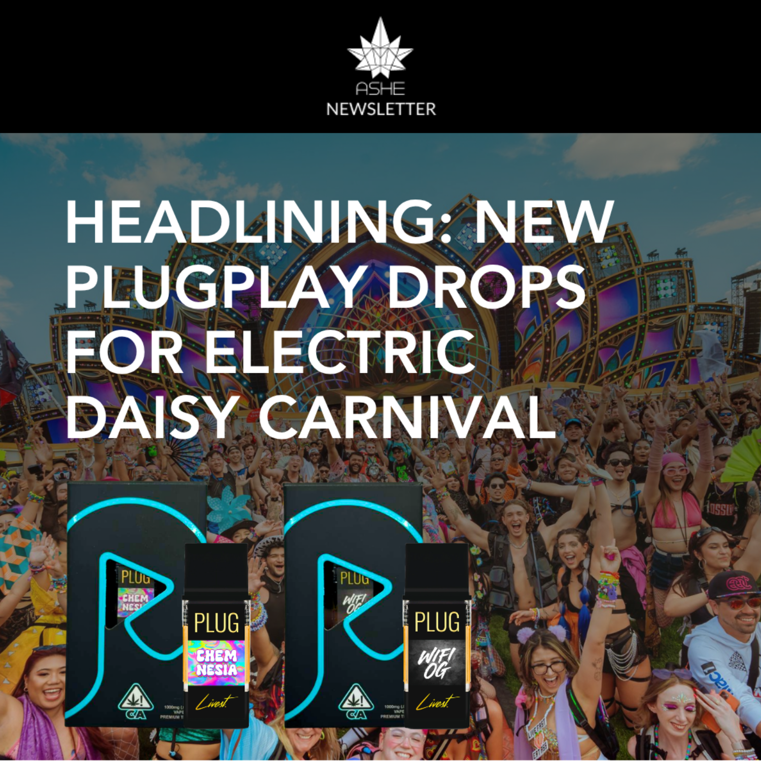 🌈☁️EDC READY WITH PLUGplay