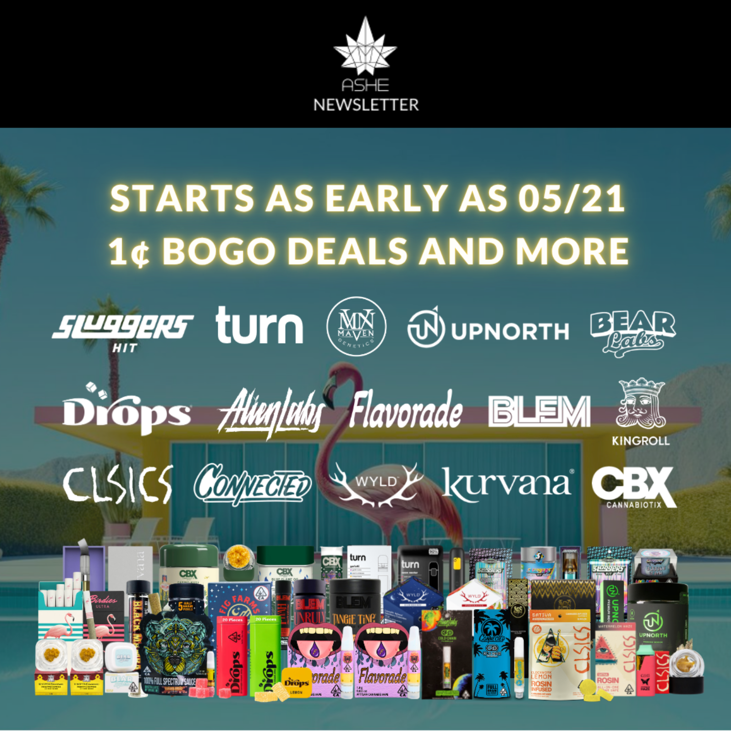 🔥🦩Hot Days, Hotter Savings!